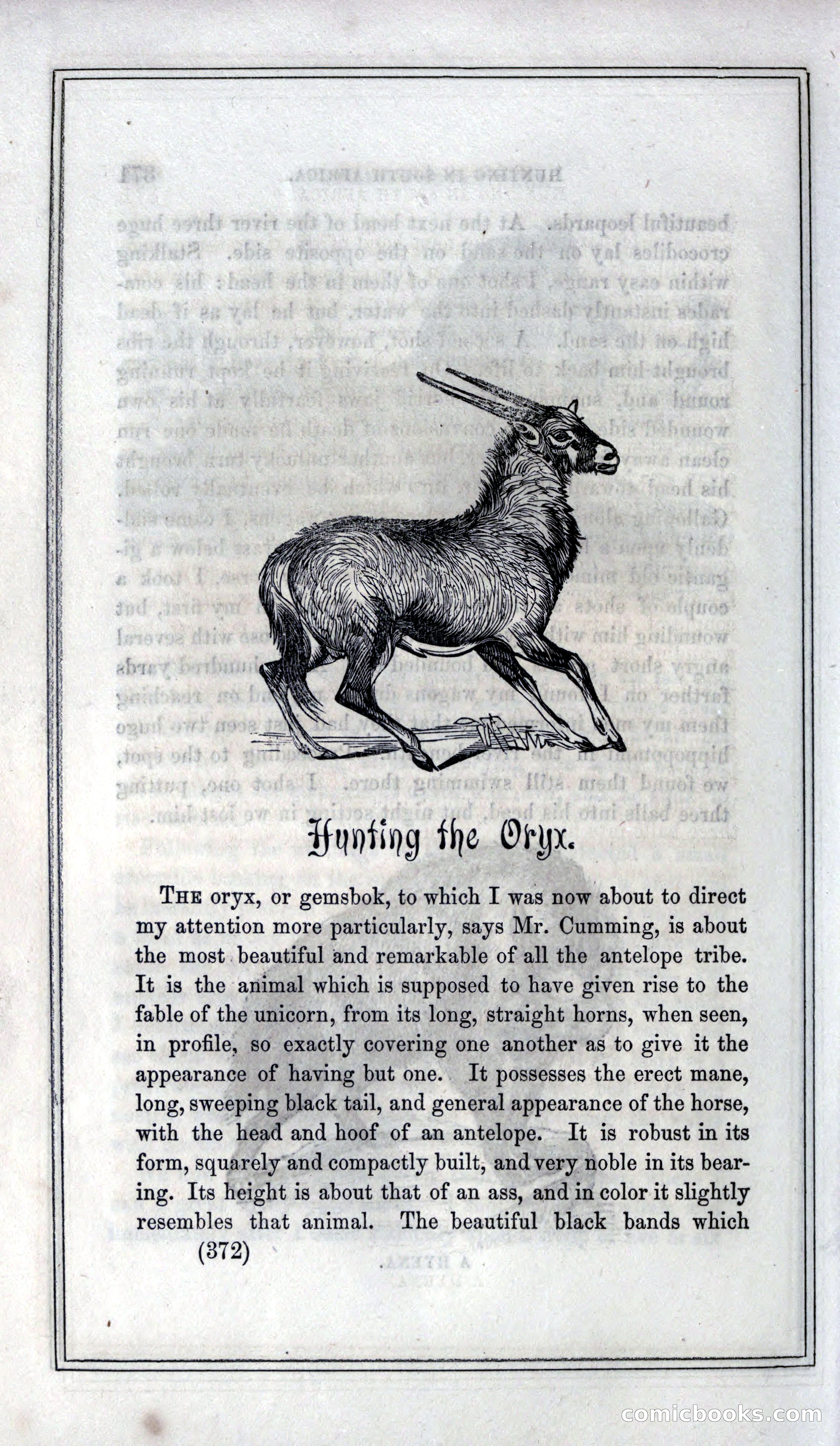 Thrilling Adventures of Hunters, in the Old World and the New — page 392 of 399