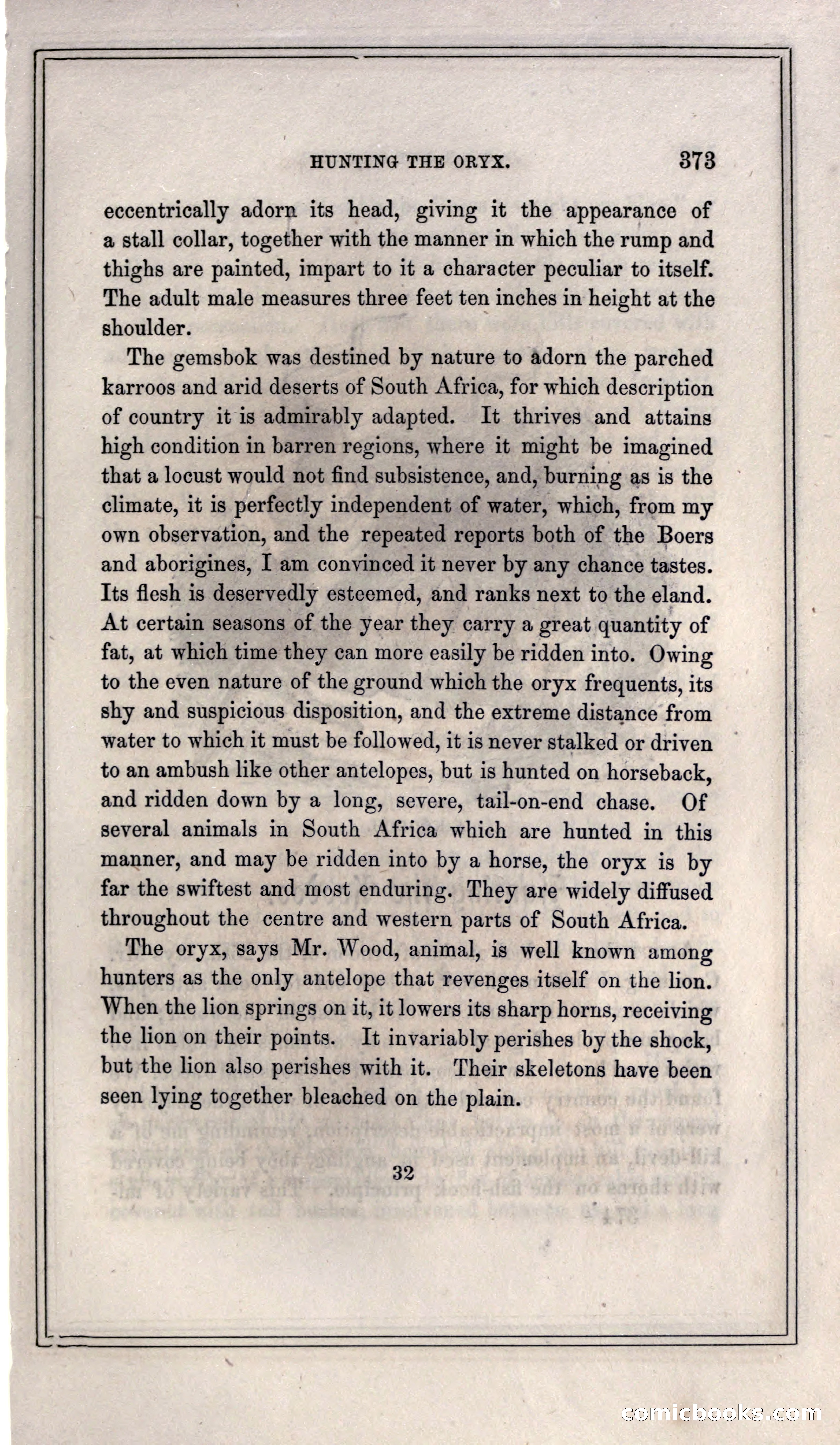 Thrilling Adventures of Hunters, in the Old World and the New — page 393 of 399
