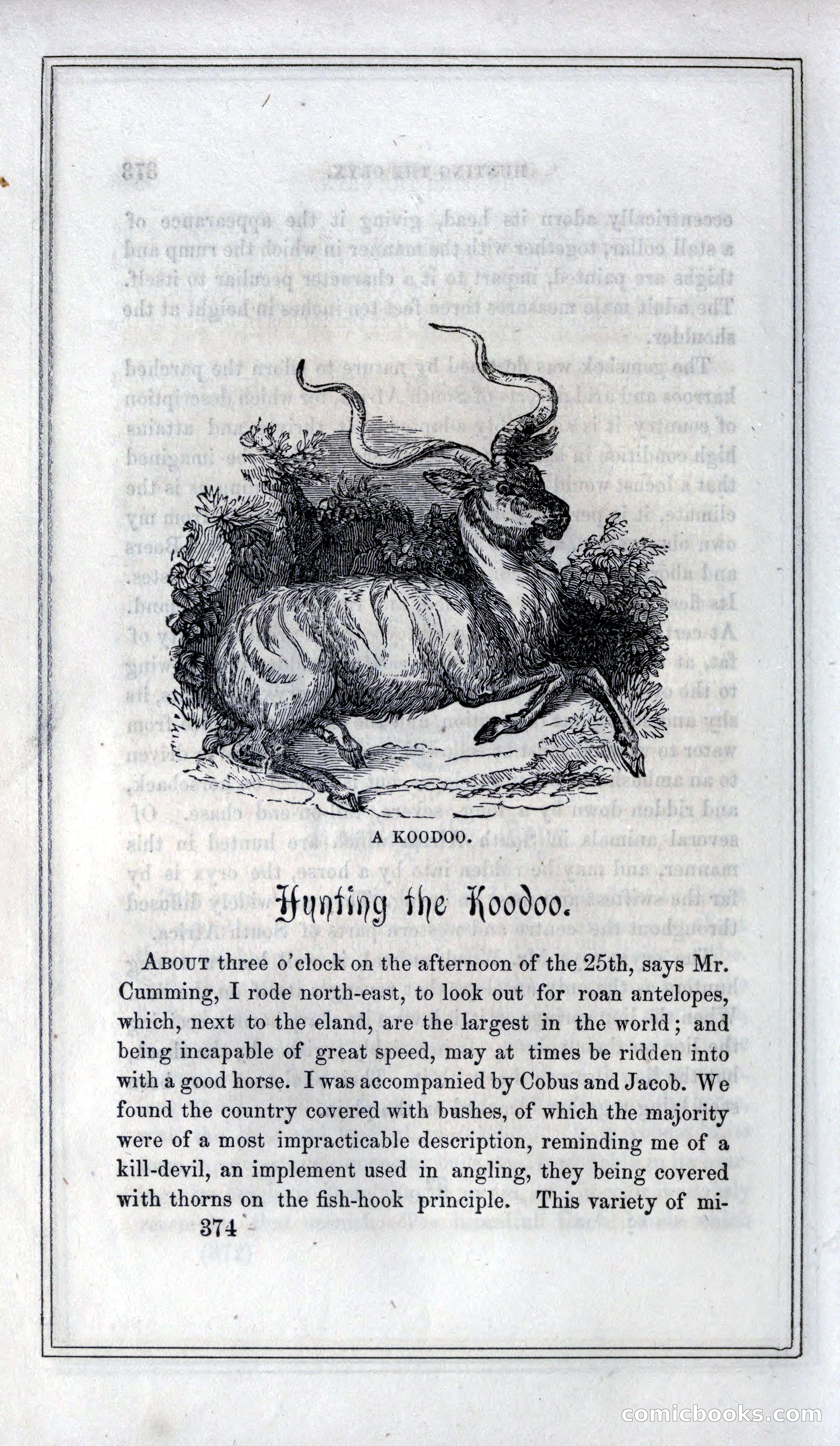 Thrilling Adventures of Hunters, in the Old World and the New — page 394 of 399