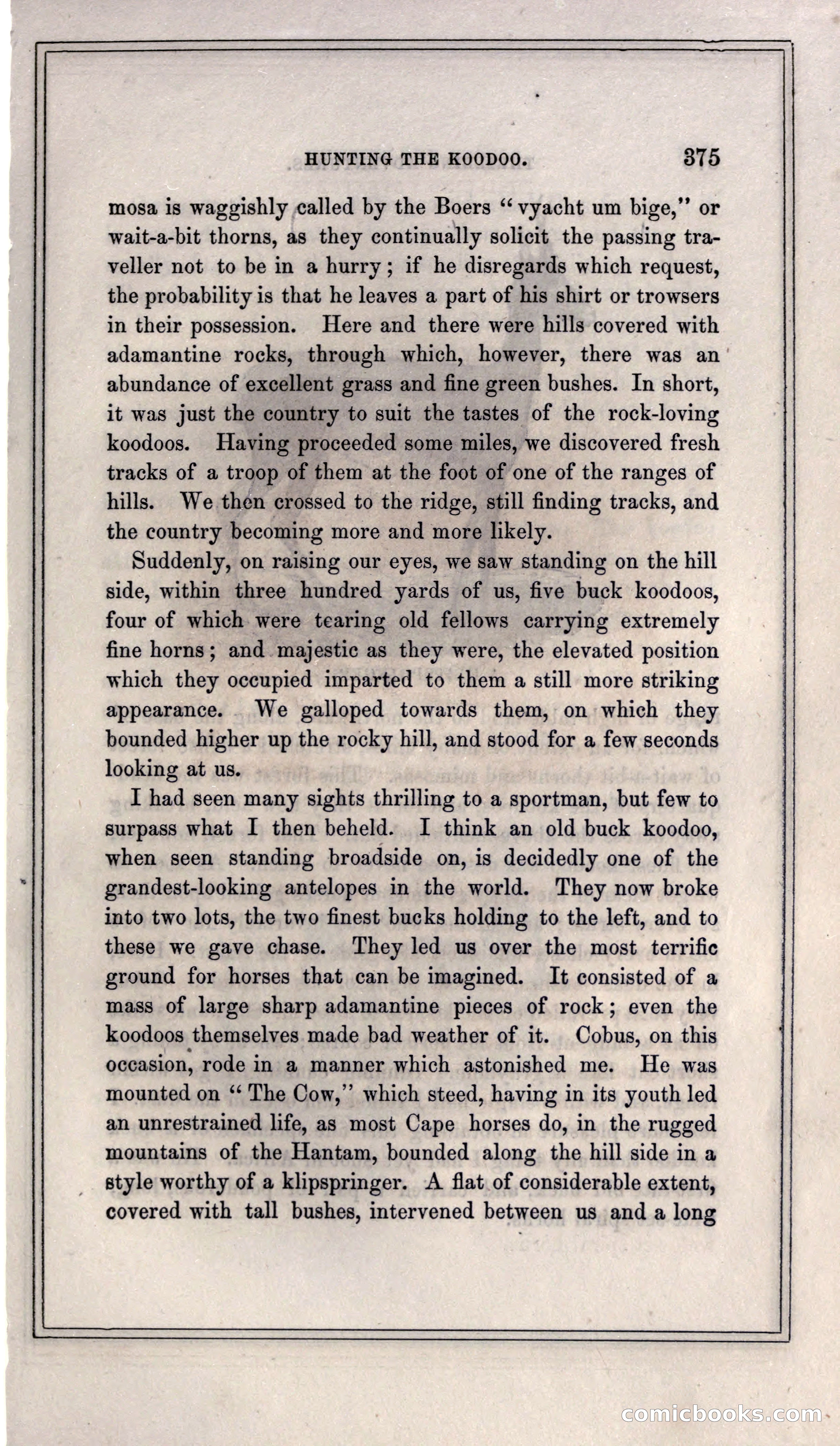 Thrilling Adventures of Hunters, in the Old World and the New — page 395 of 399