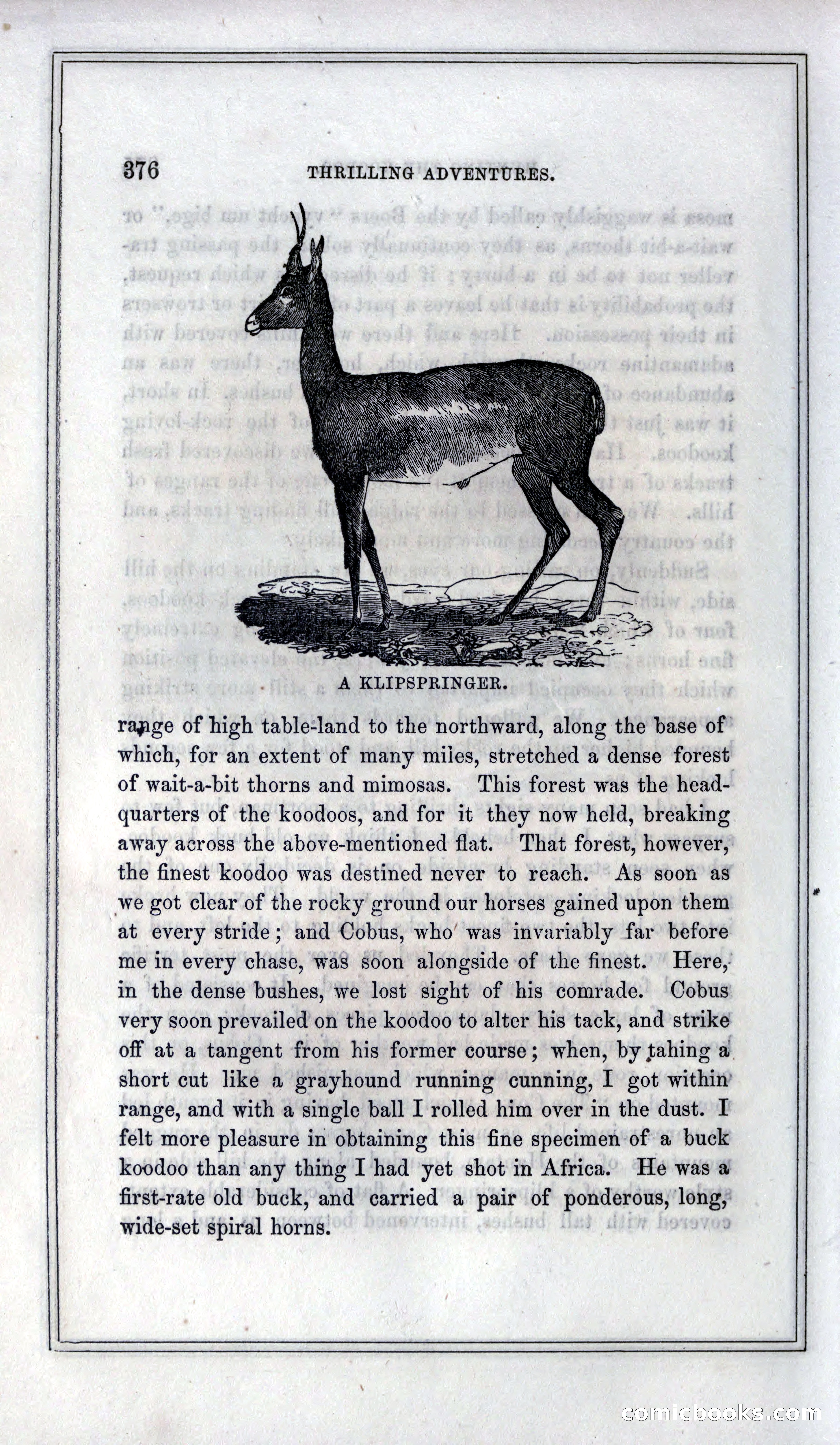 Thrilling Adventures of Hunters, in the Old World and the New — page 396 of 399