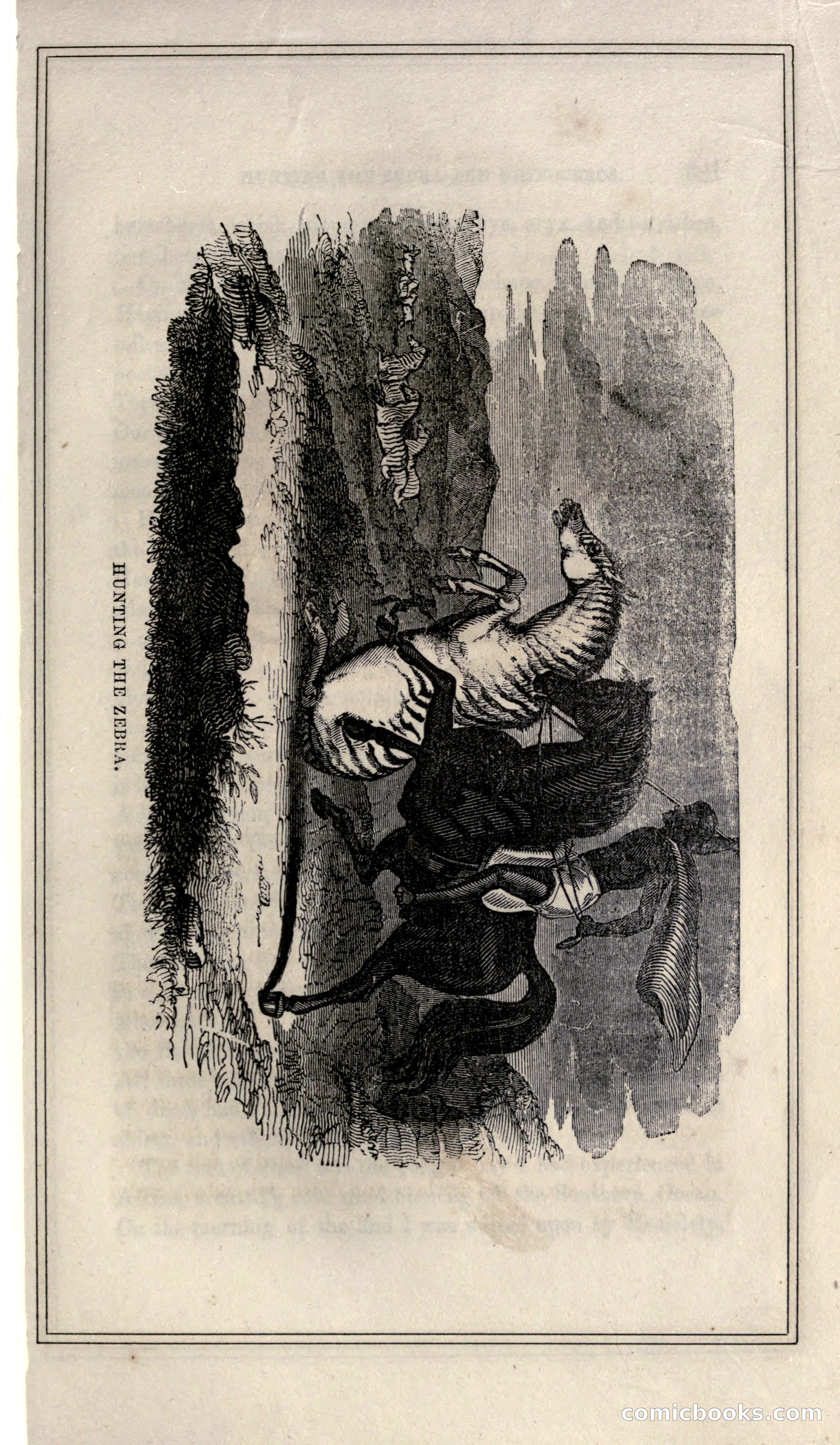 Thrilling Adventures of Hunters, in the Old World and the New — page 399 of 399