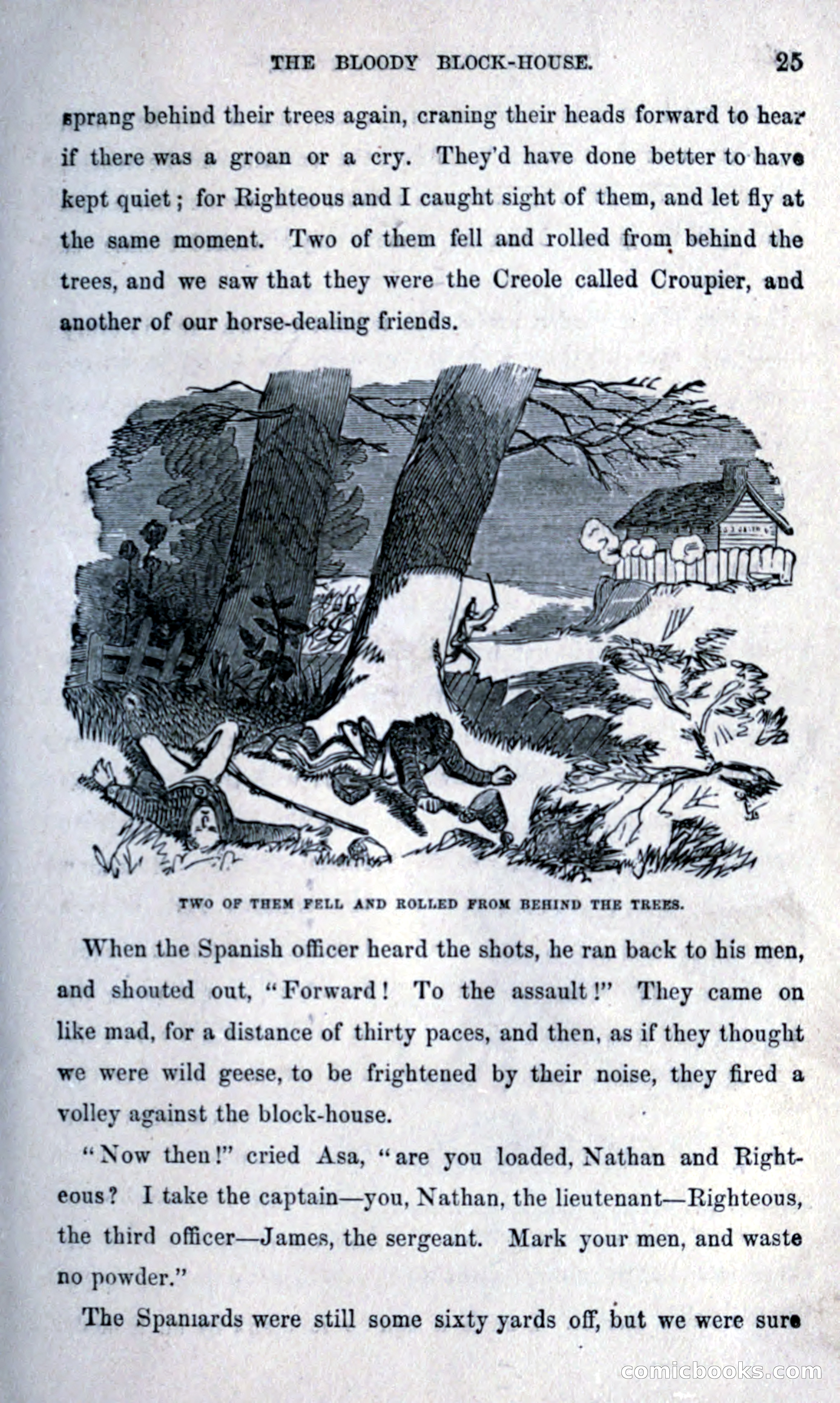 Thrilling Adventures Among the Early Settlers — page 33 of 393
