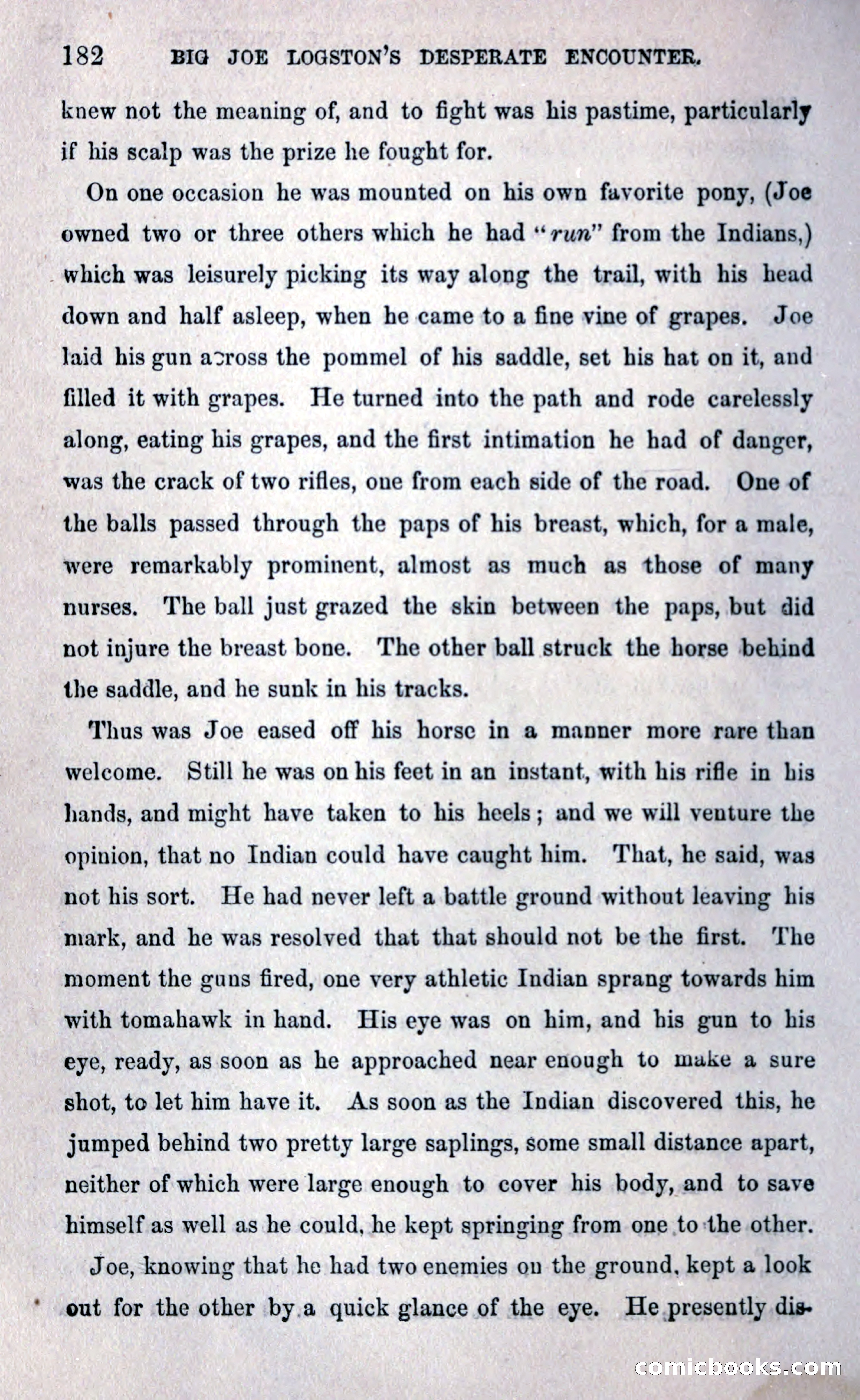 Thrilling Adventures Among the Early Settlers — page 190 of 393
