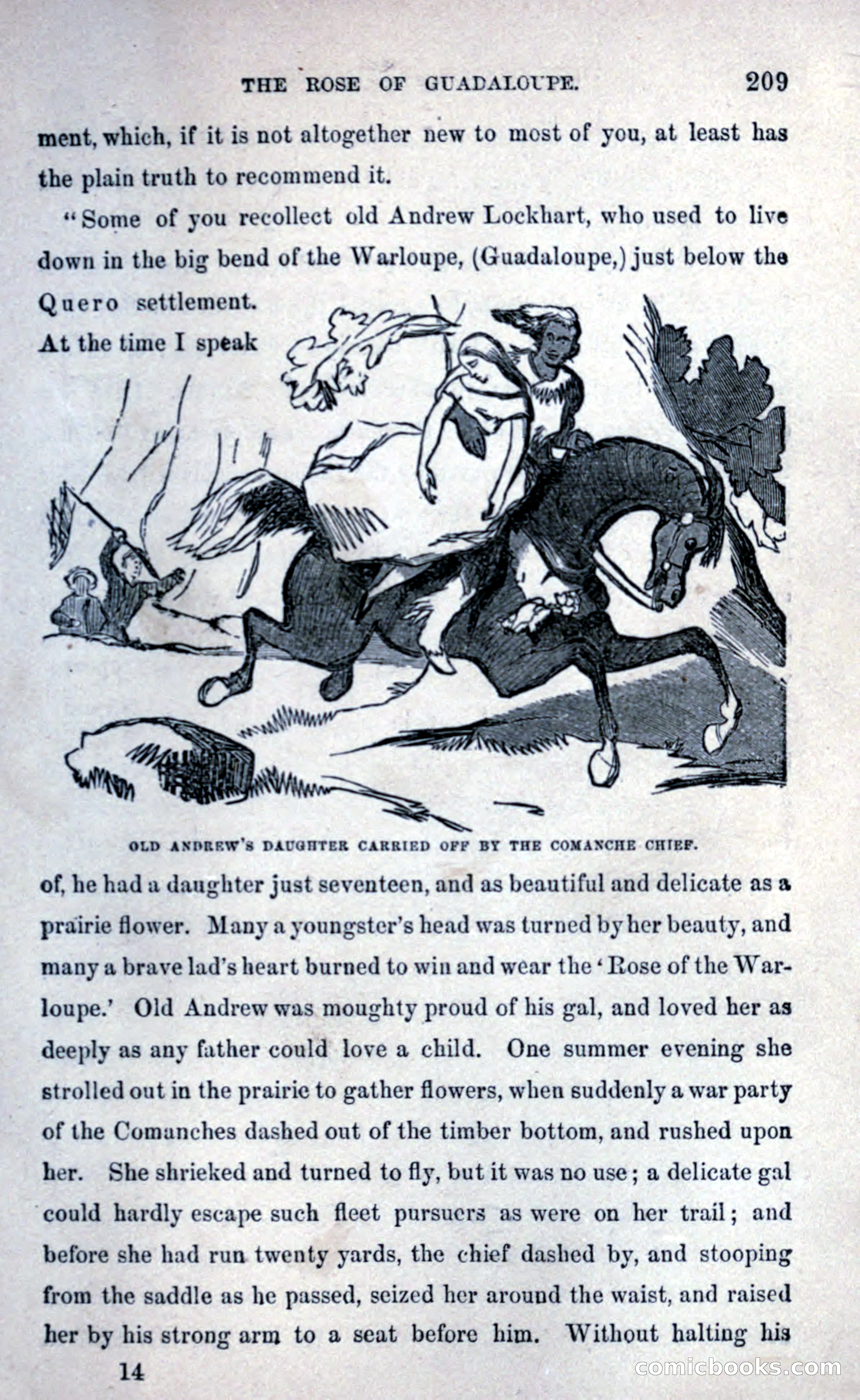 Thrilling Adventures Among the Early Settlers — page 217 of 393