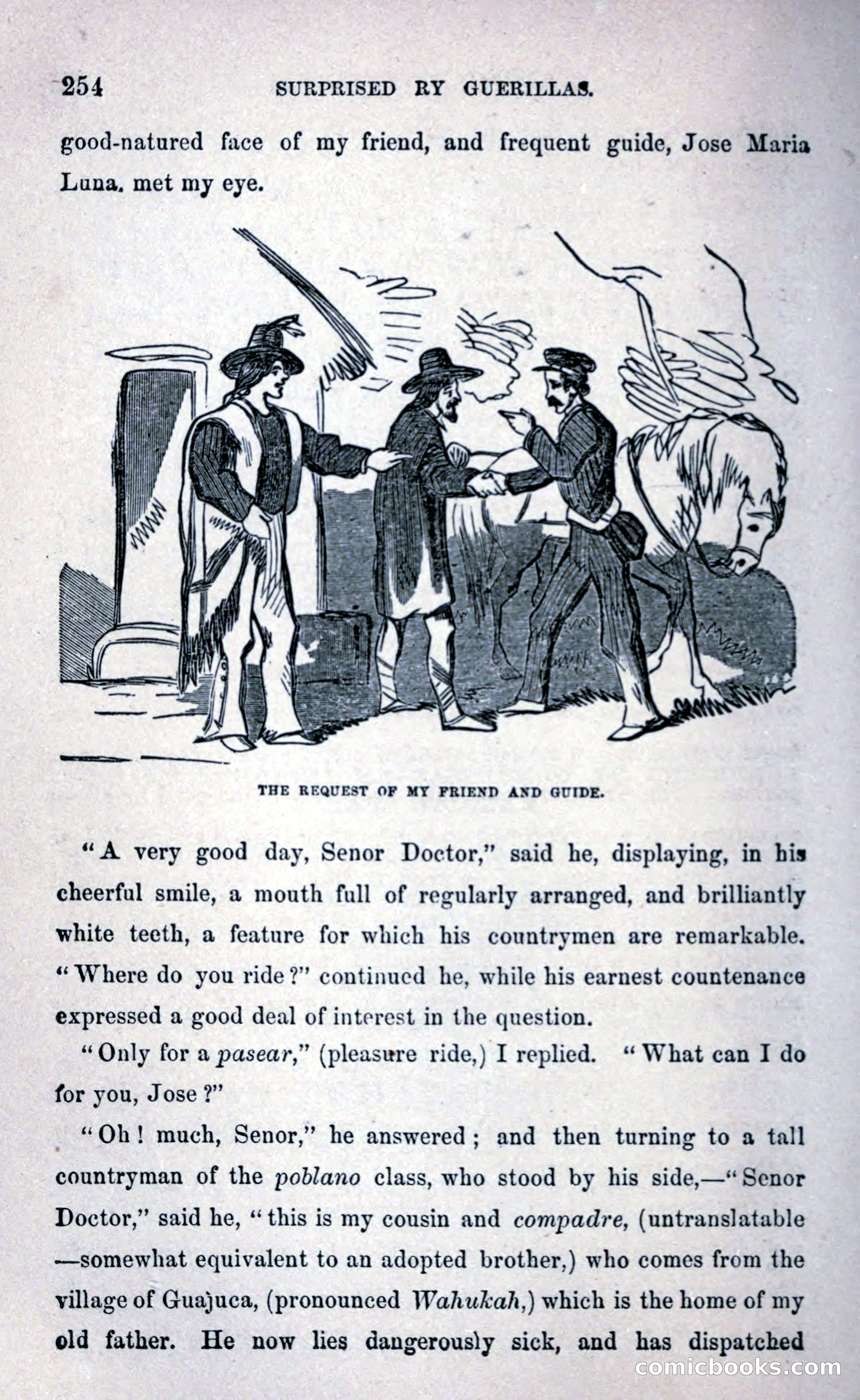 Thrilling Adventures Among the Early Settlers — page 262 of 393