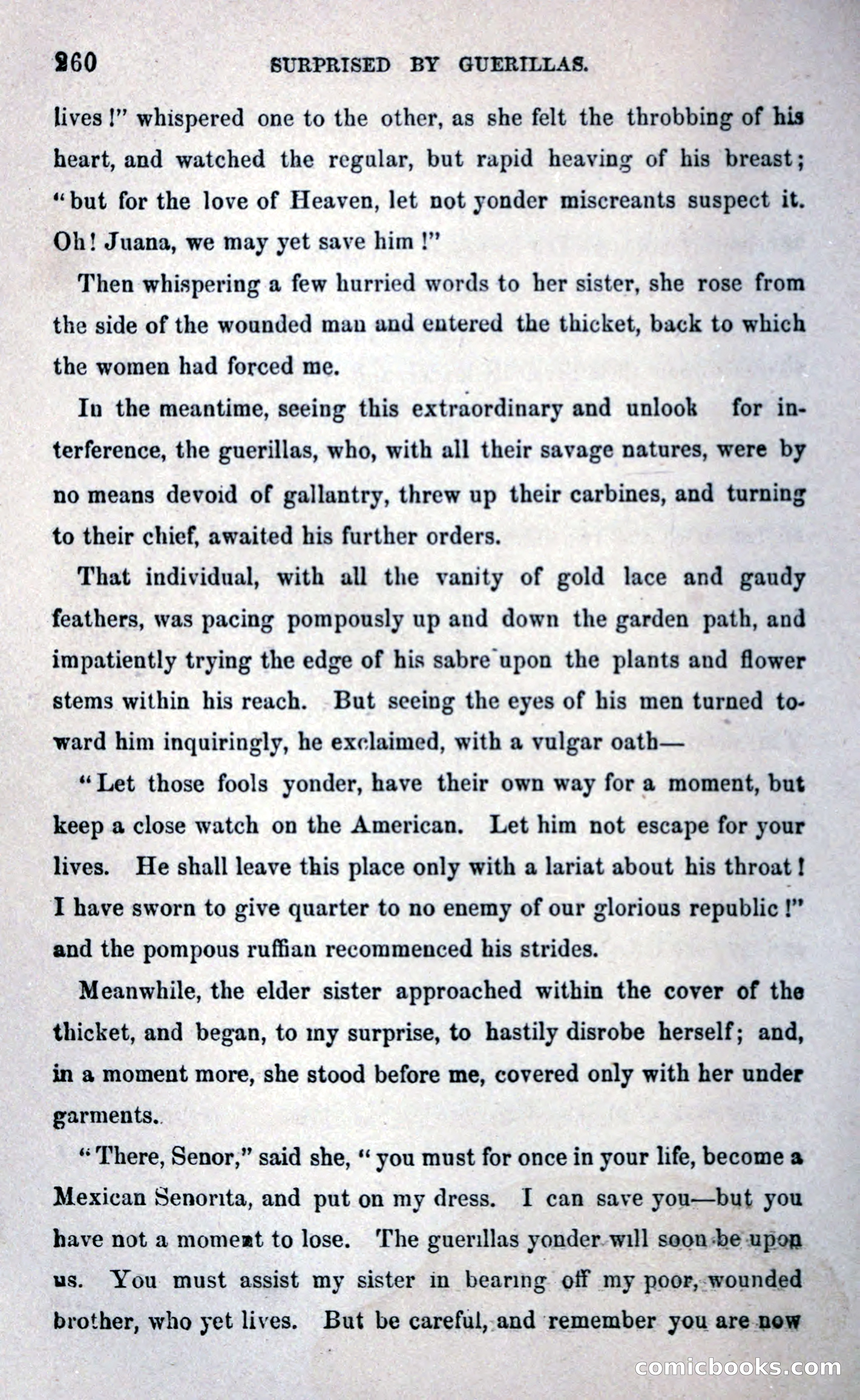 Thrilling Adventures Among the Early Settlers — page 268 of 393