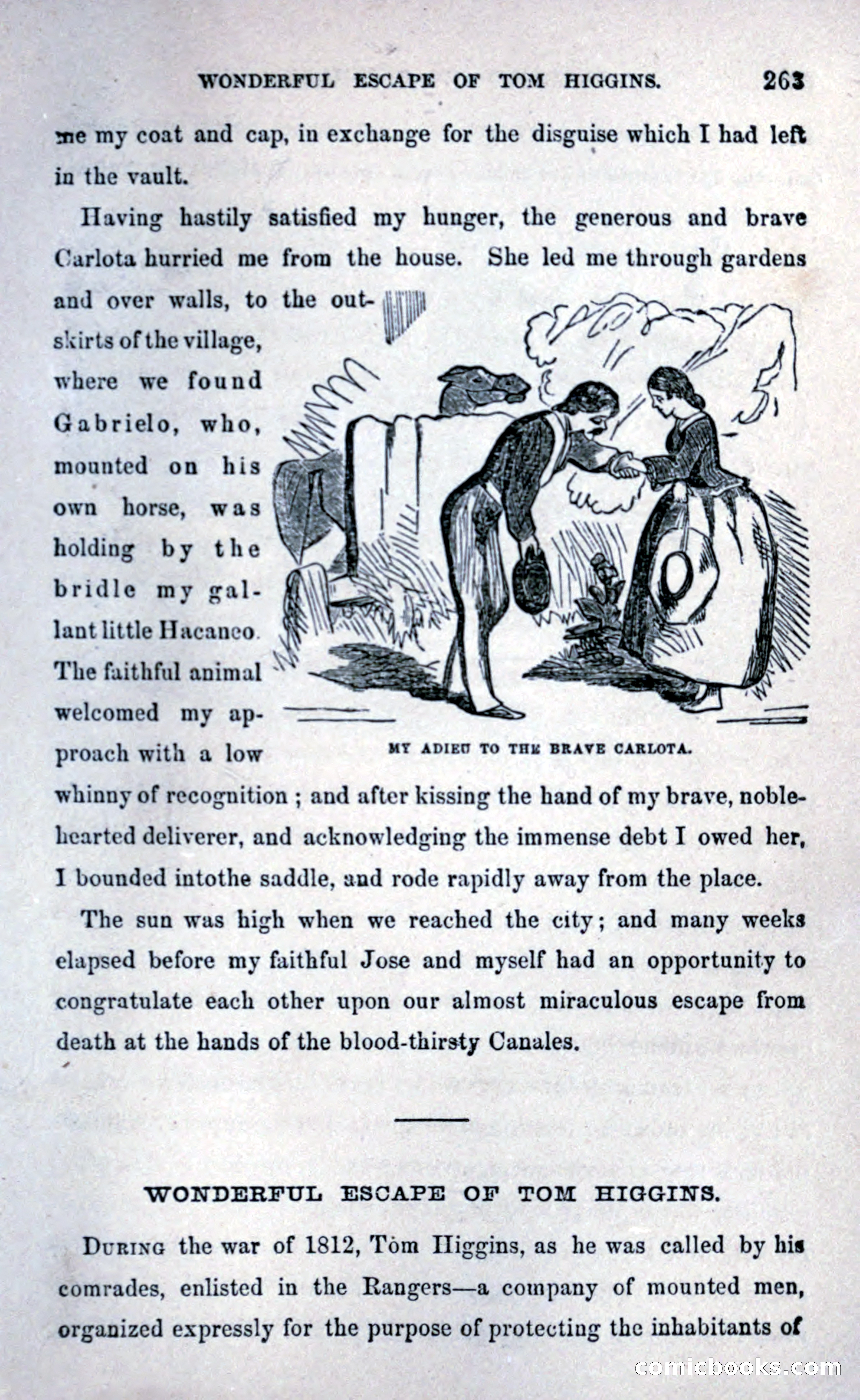 Thrilling Adventures Among the Early Settlers — page 271 of 393