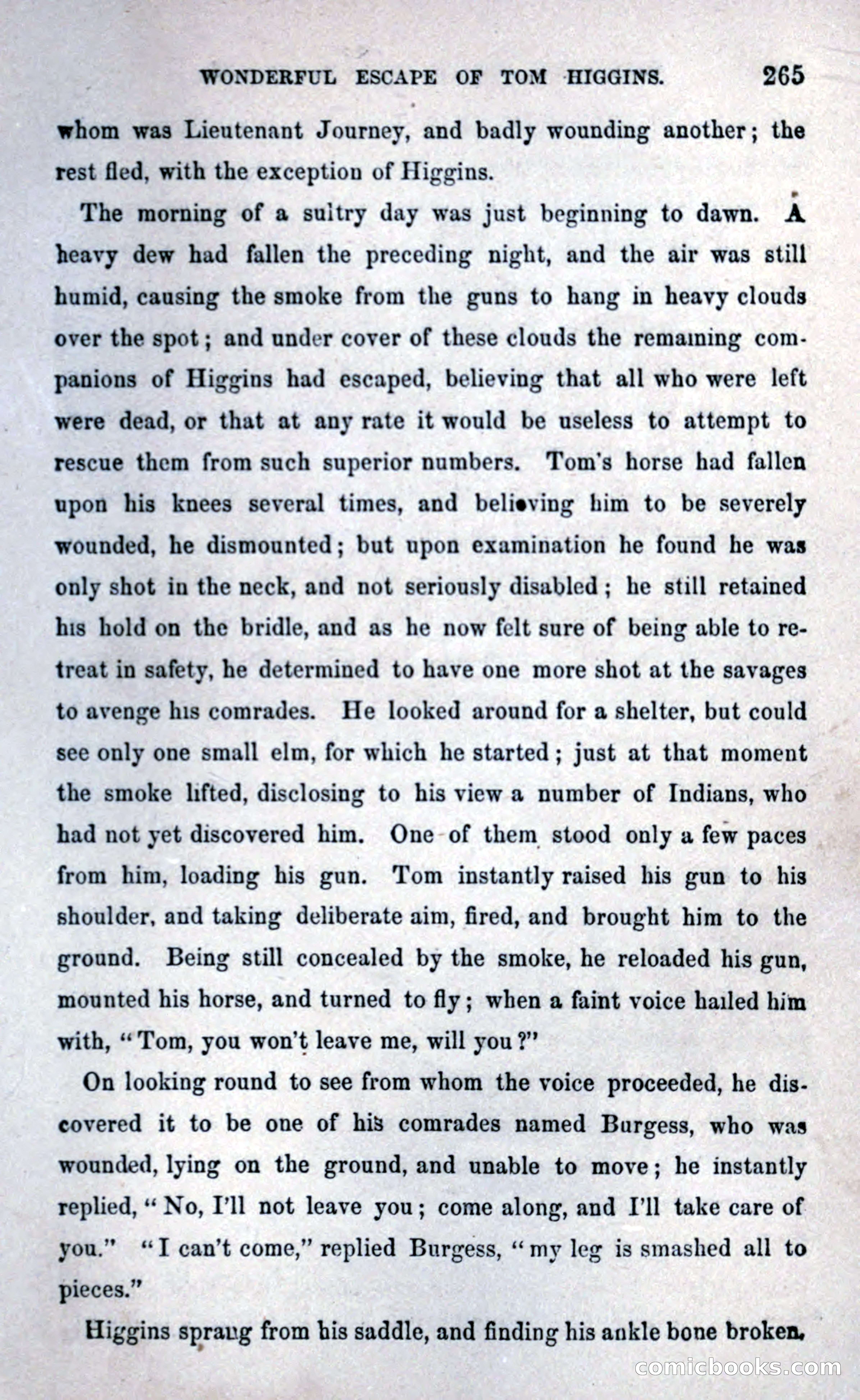 Thrilling Adventures Among the Early Settlers — page 273 of 393