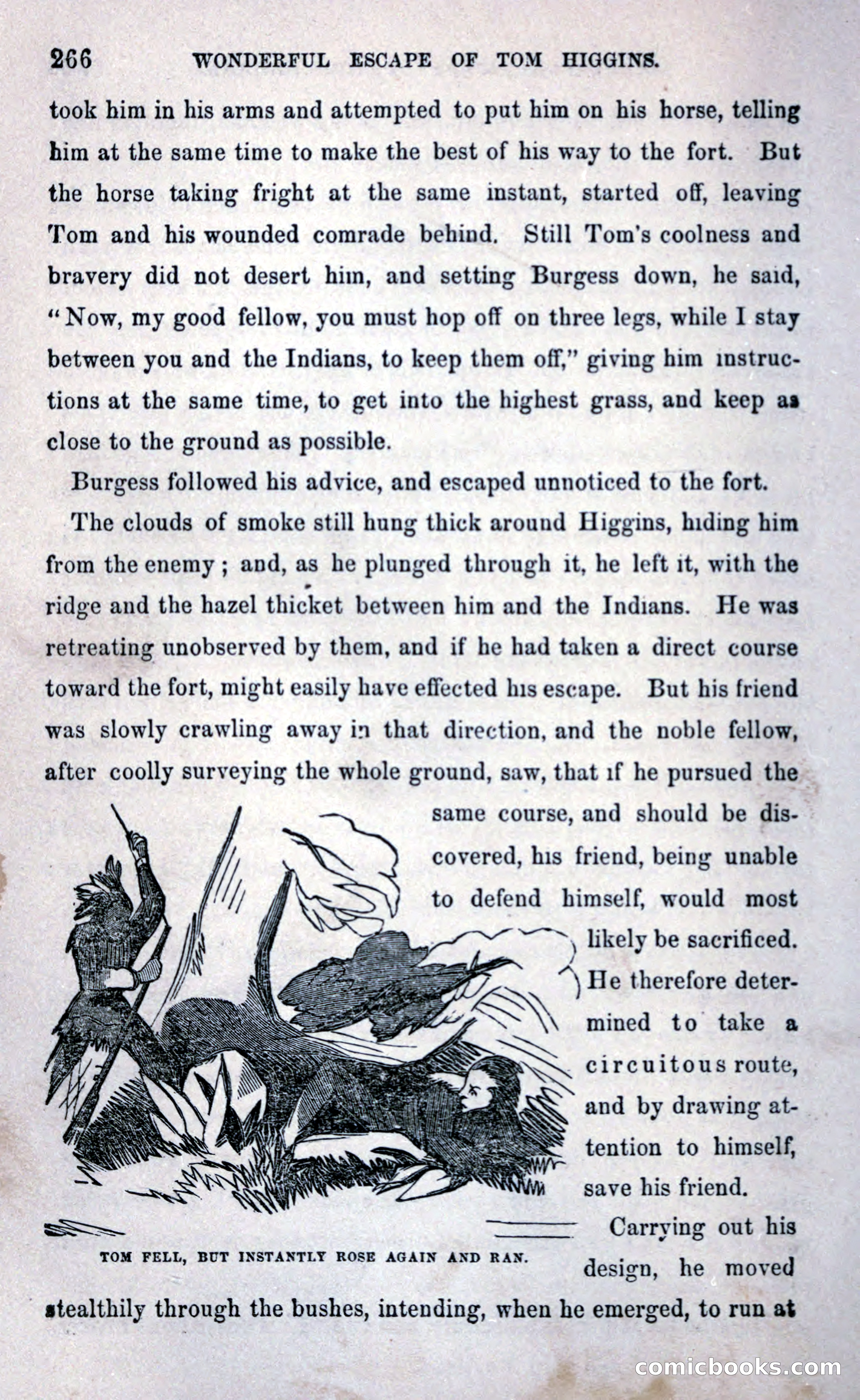Thrilling Adventures Among the Early Settlers — page 274 of 393