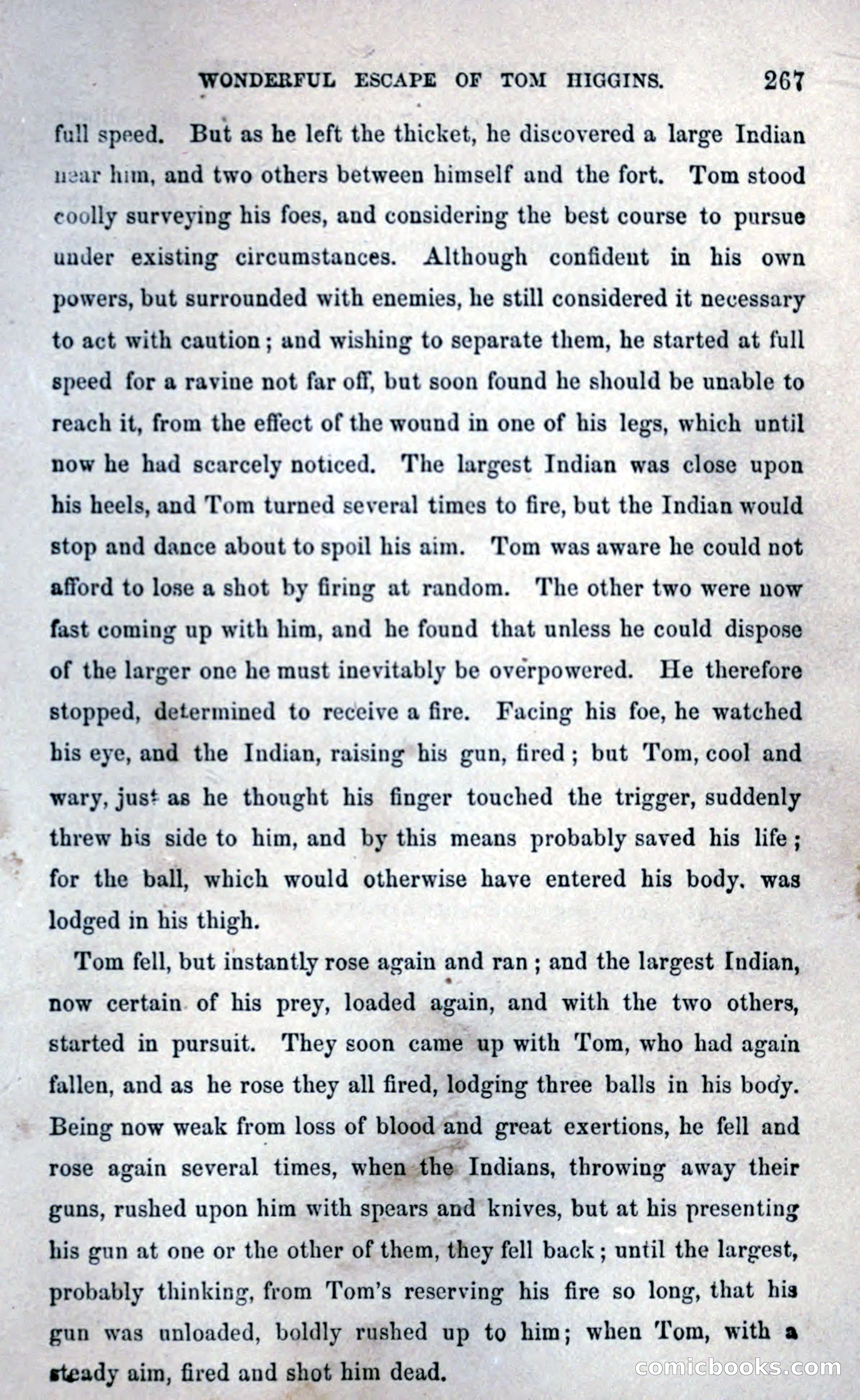Thrilling Adventures Among the Early Settlers — page 275 of 393