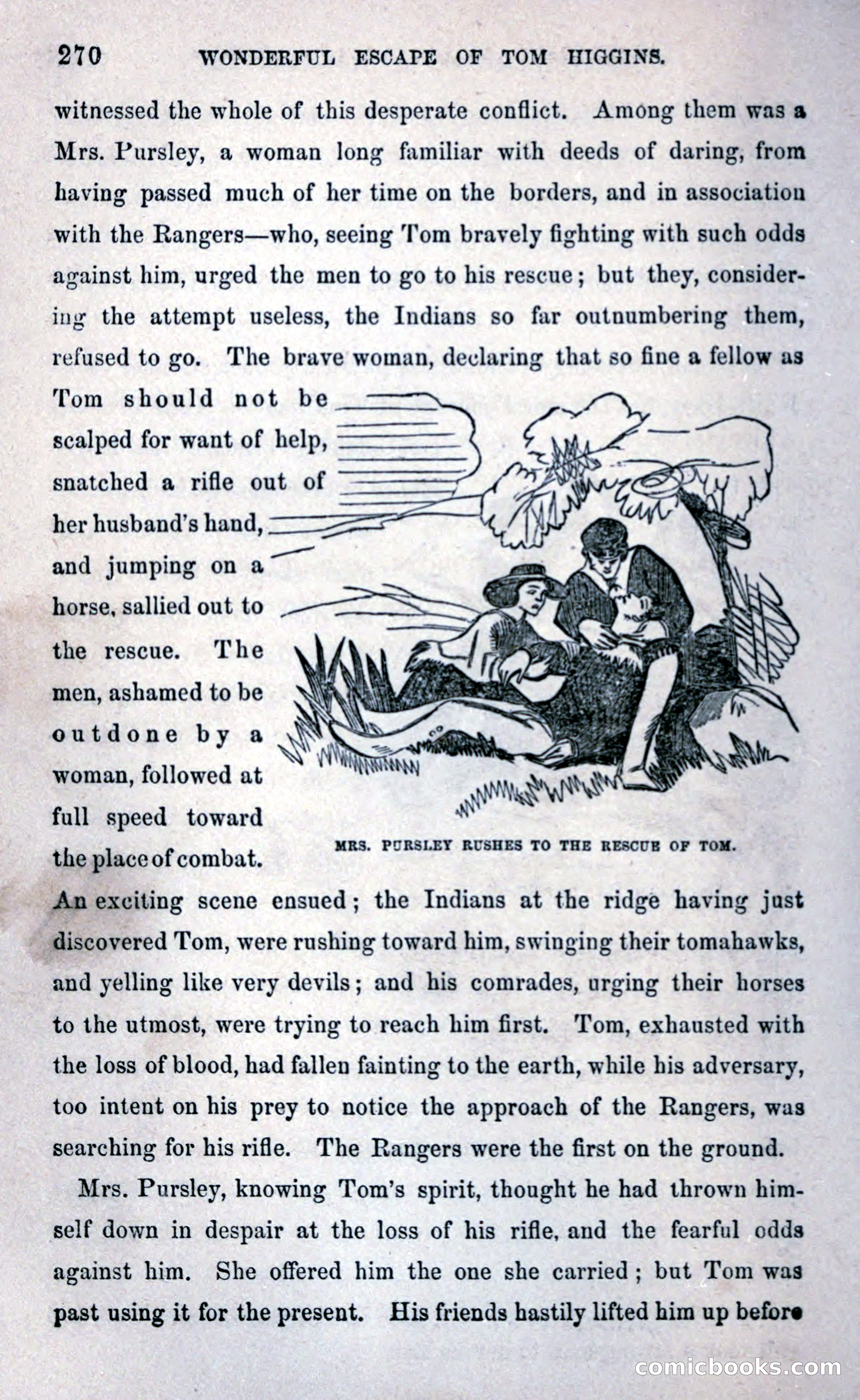 Thrilling Adventures Among the Early Settlers — page 278 of 393