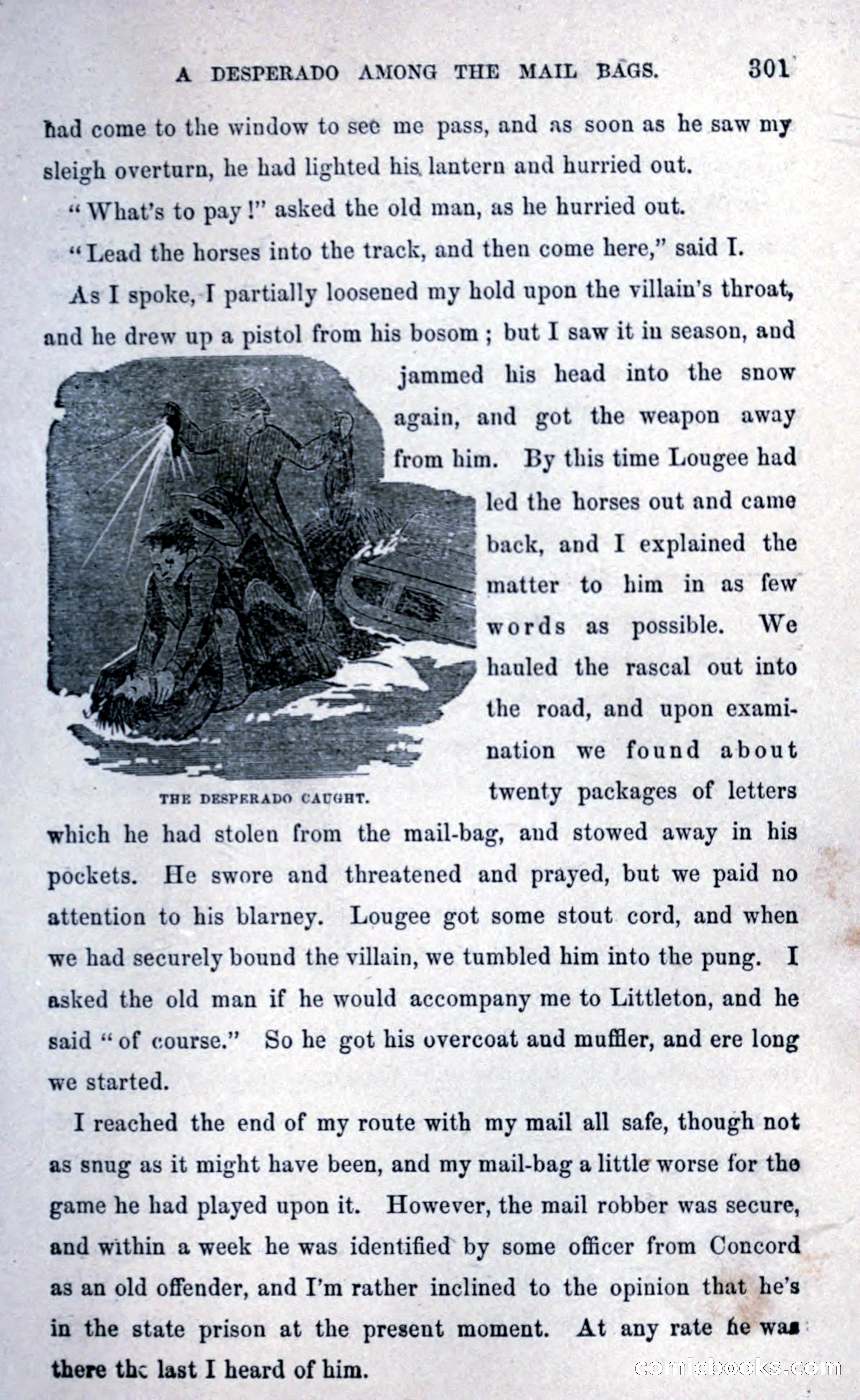 Thrilling Adventures Among the Early Settlers — page 309 of 393