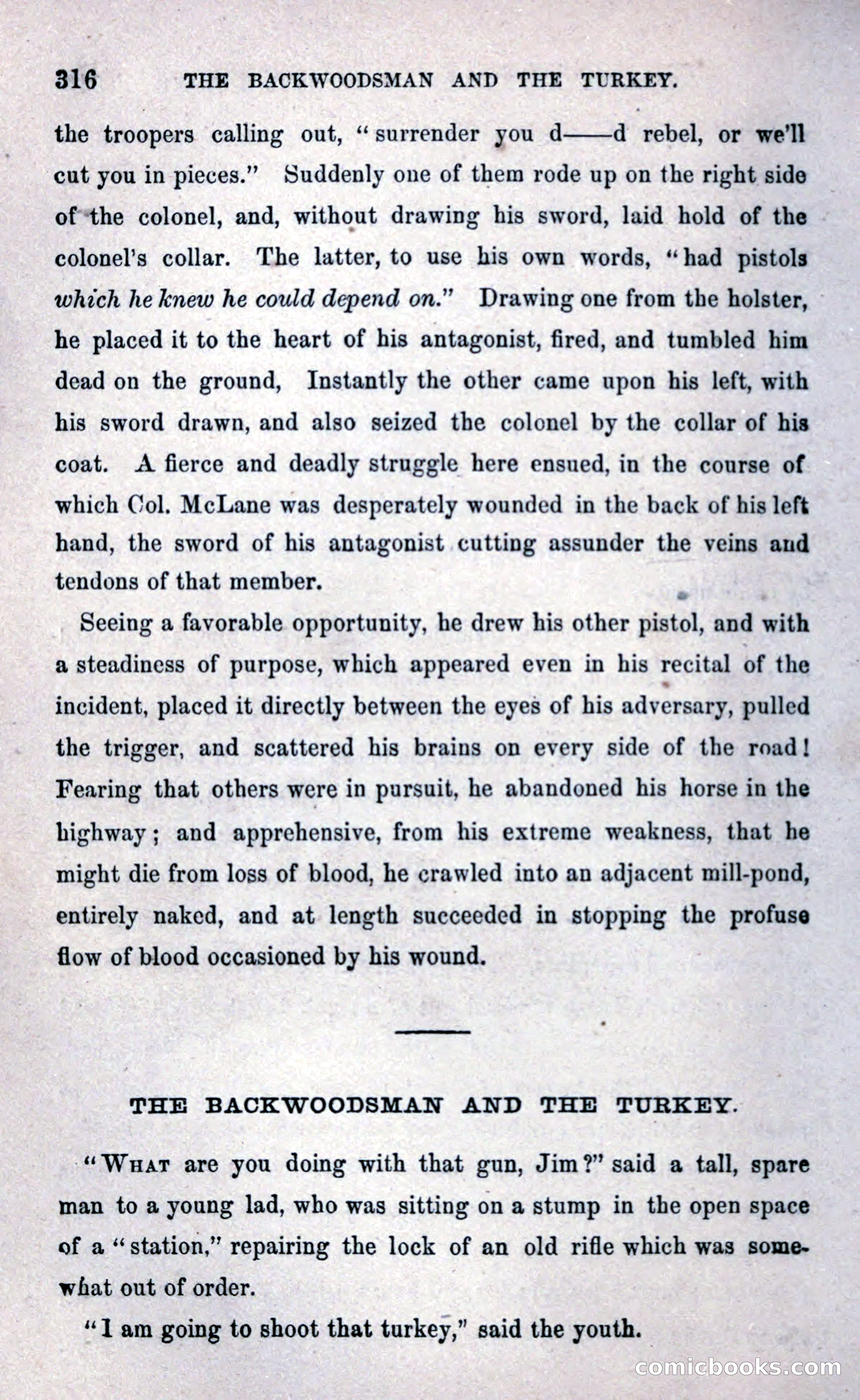 Thrilling Adventures Among the Early Settlers — page 324 of 393