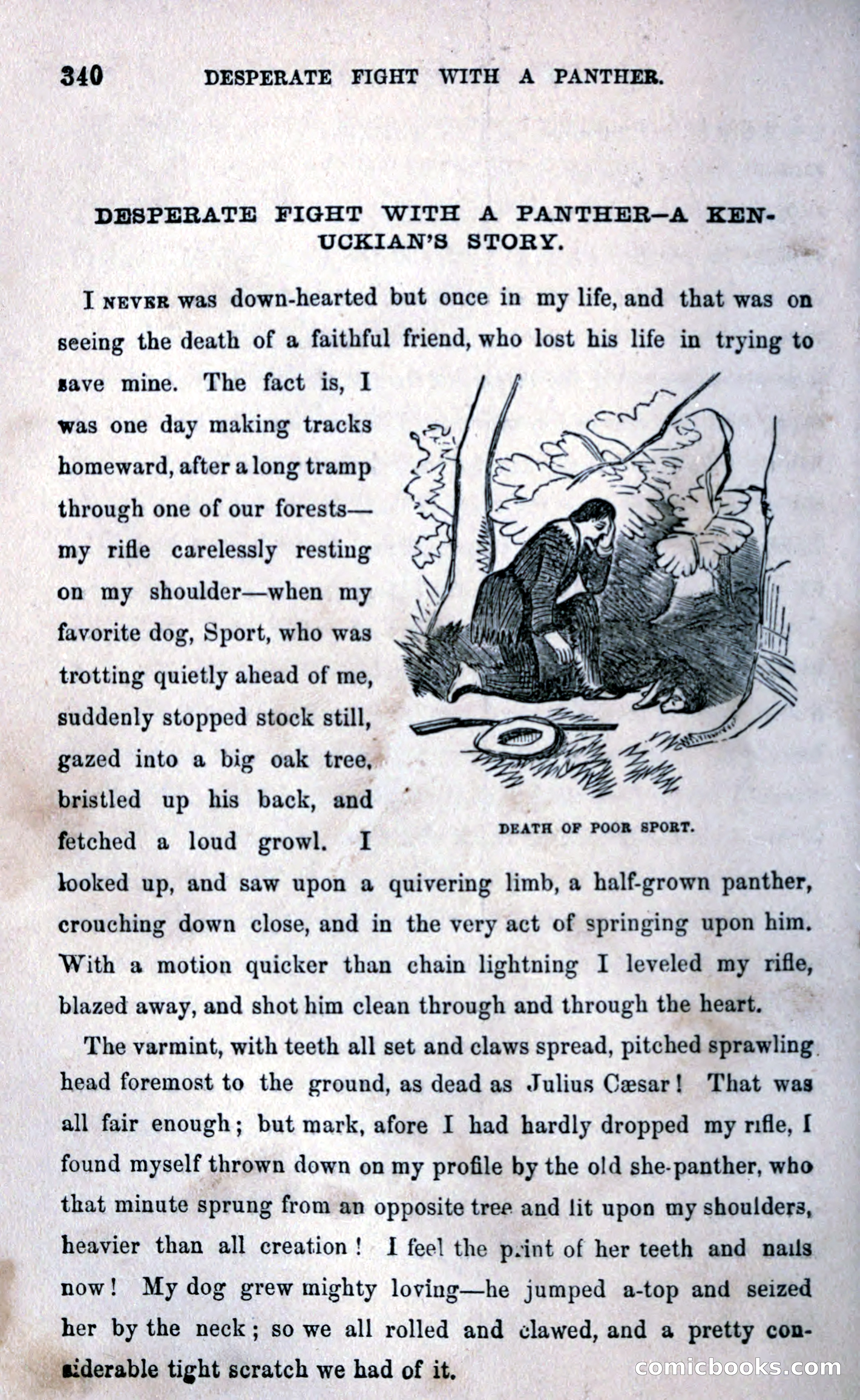 Thrilling Adventures Among the Early Settlers — page 348 of 393
