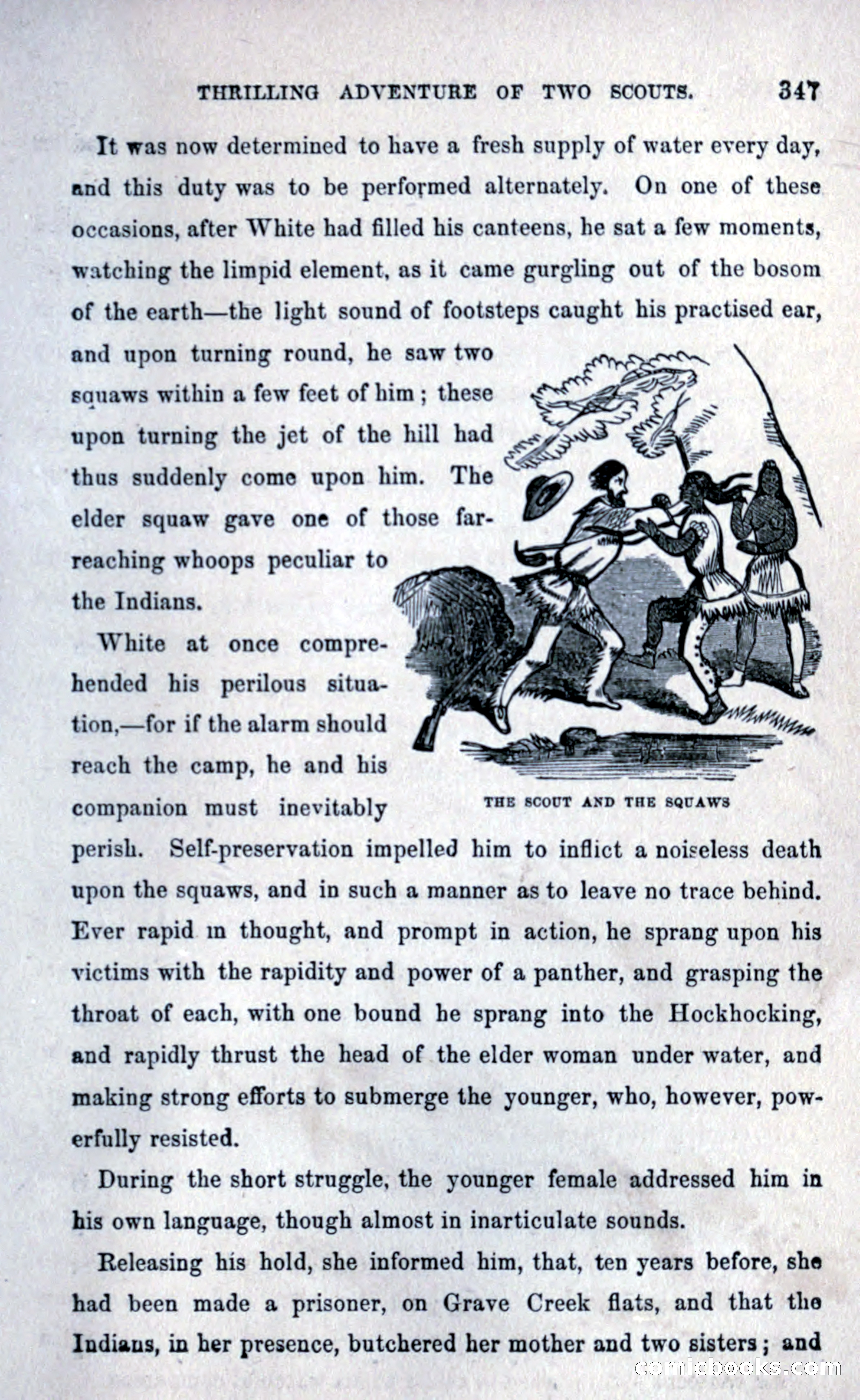 Thrilling Adventures Among the Early Settlers — page 355 of 393