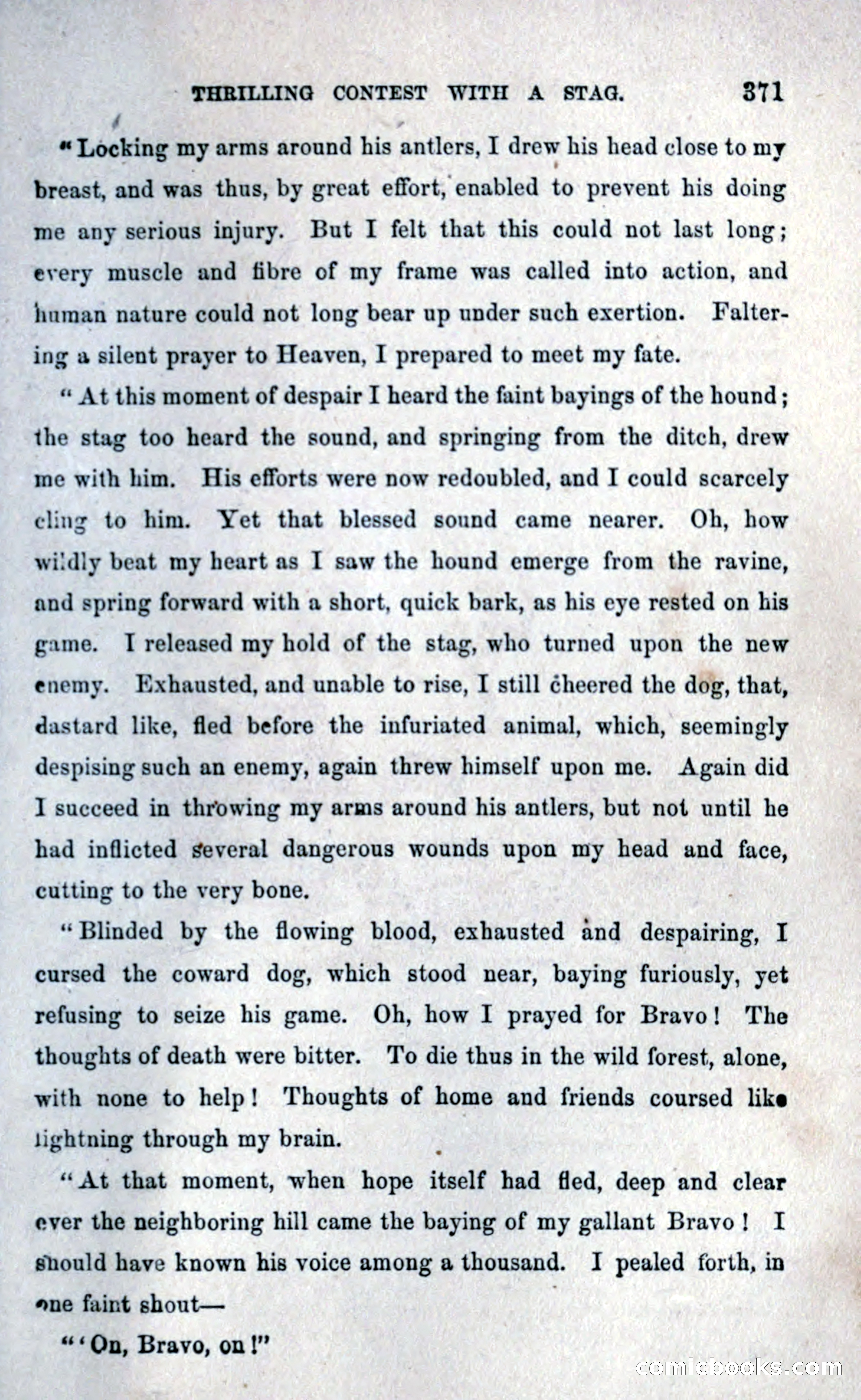 Thrilling Adventures Among the Early Settlers — page 379 of 393