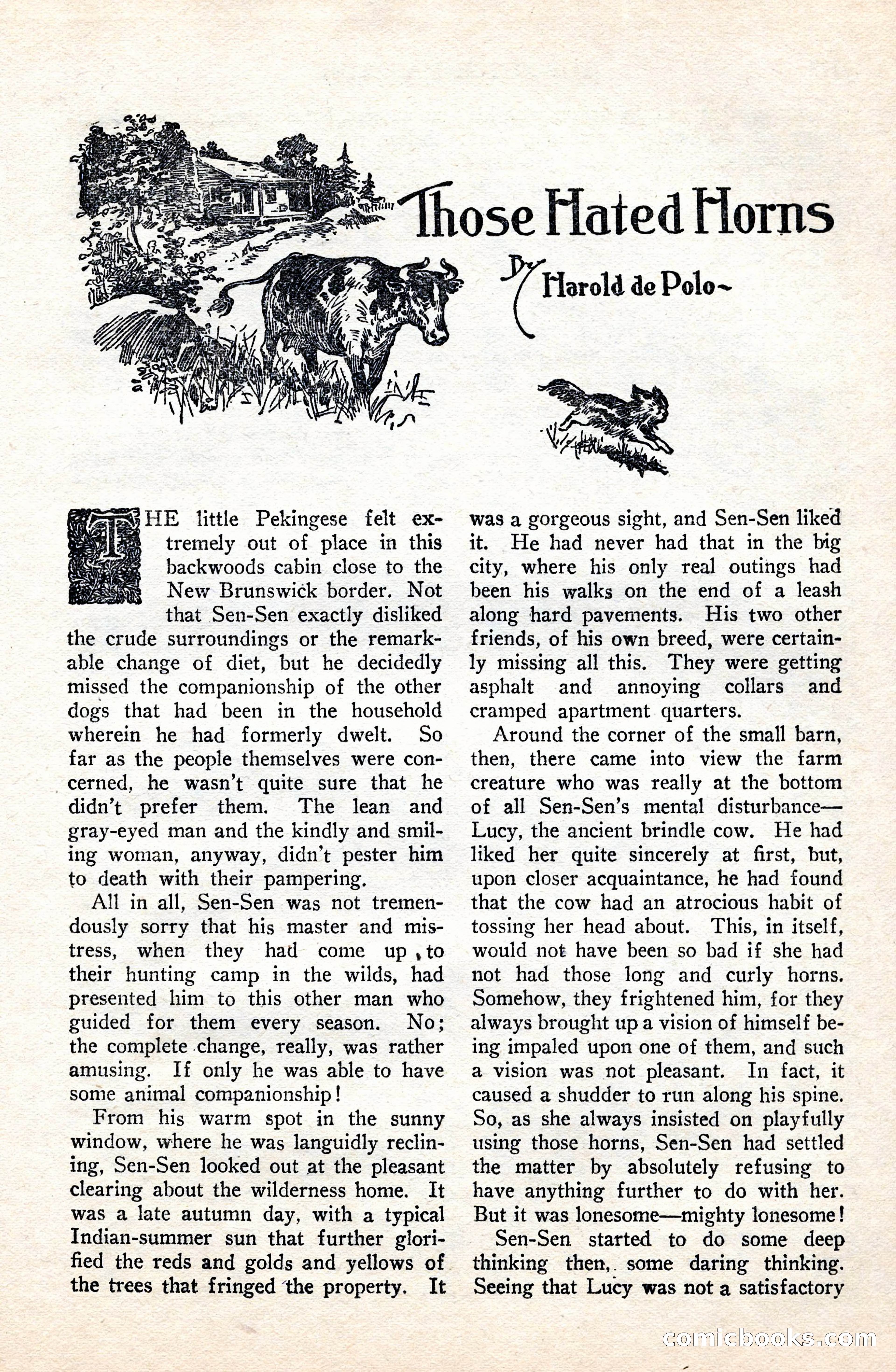 Top-Notch Magazine, June 1, 1926 — page 137 of 174