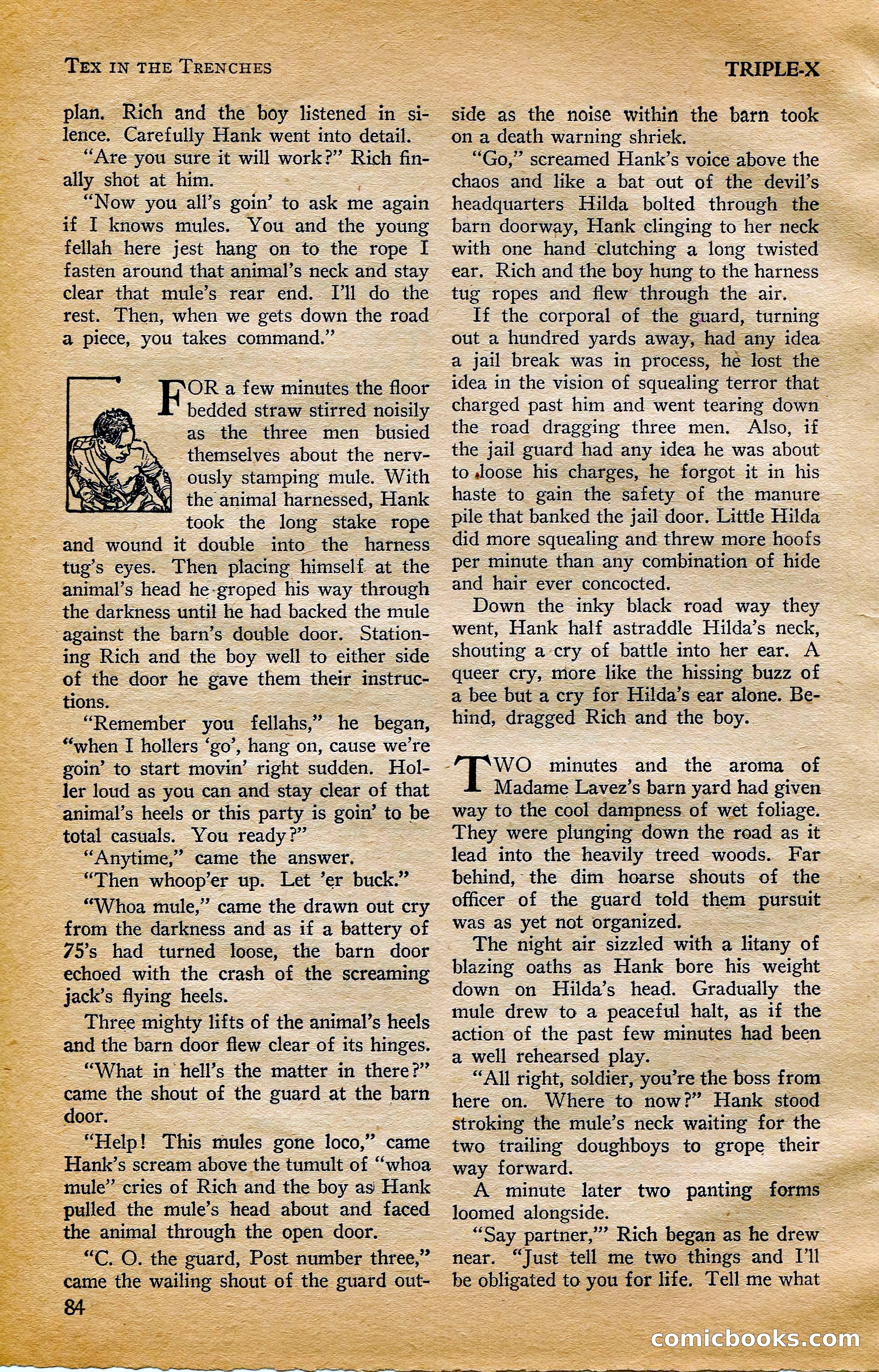 Triple-X Magazine — page 84 of 197