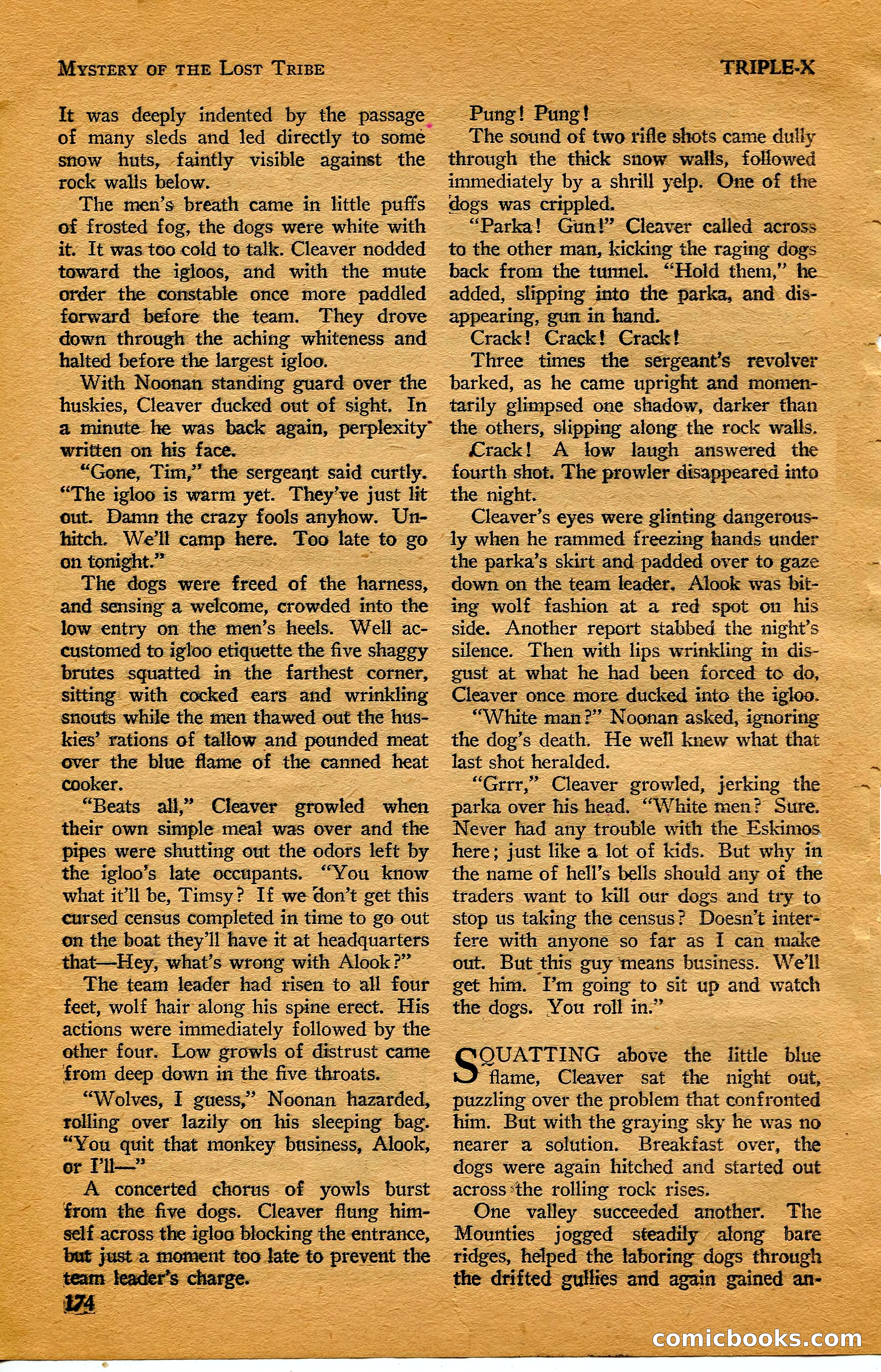 Triple-X Magazine — page 174 of 197