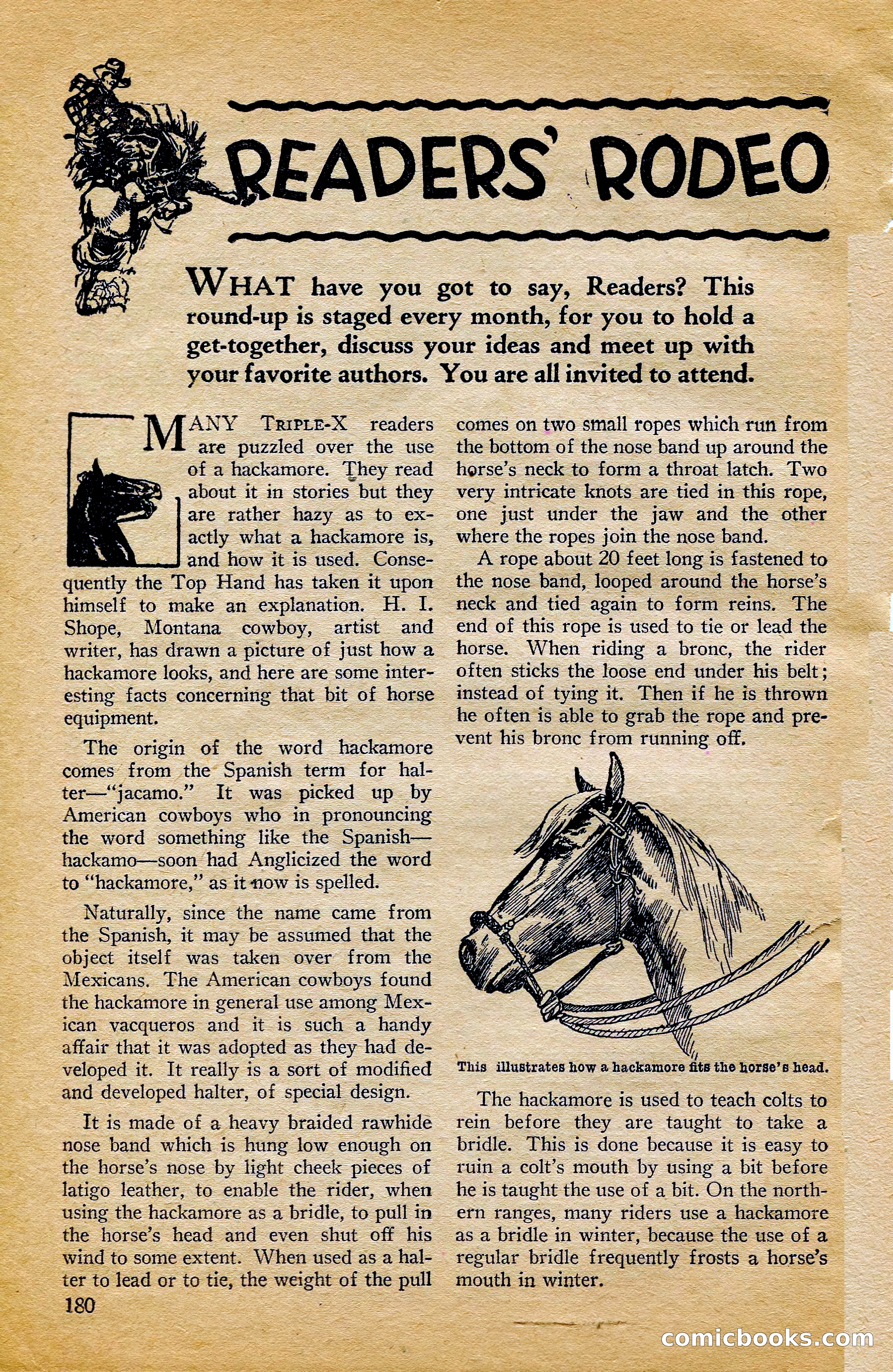 Triple-X Magazine — page 180 of 197