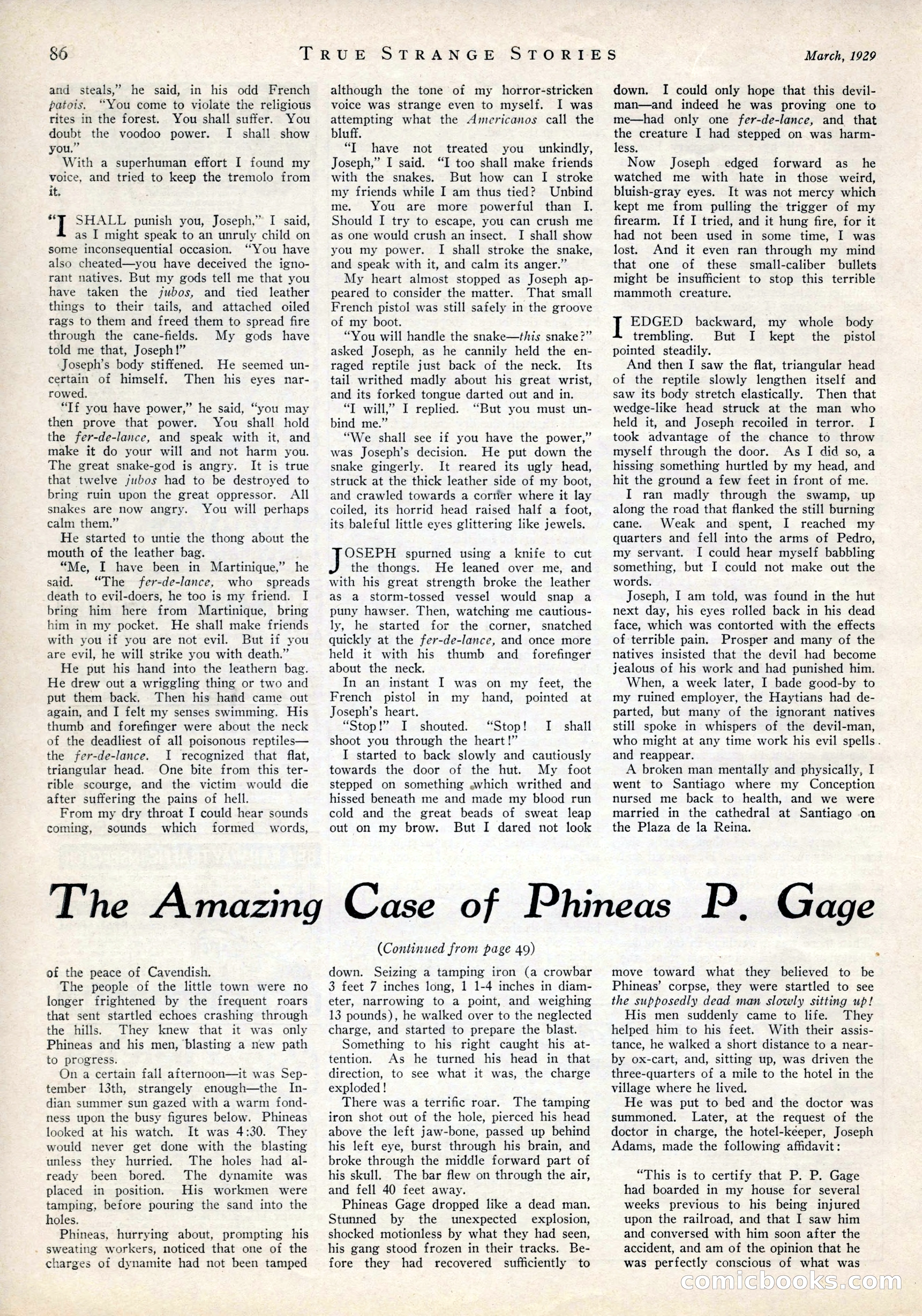 True Strange Stories, March 1929 — page 88 of 100
