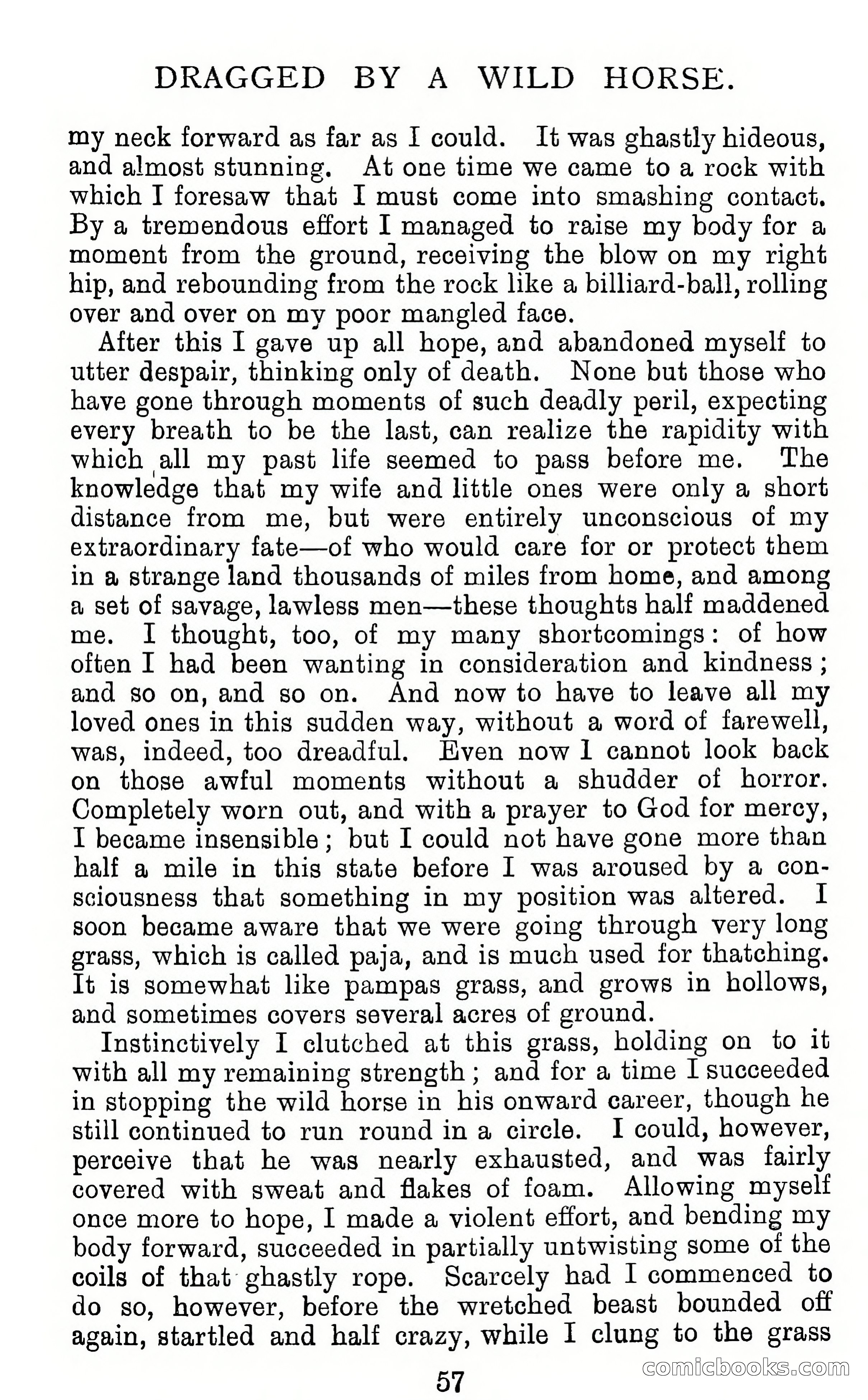 Twenty-Five True Tales Of Adventure — page 73 of 202