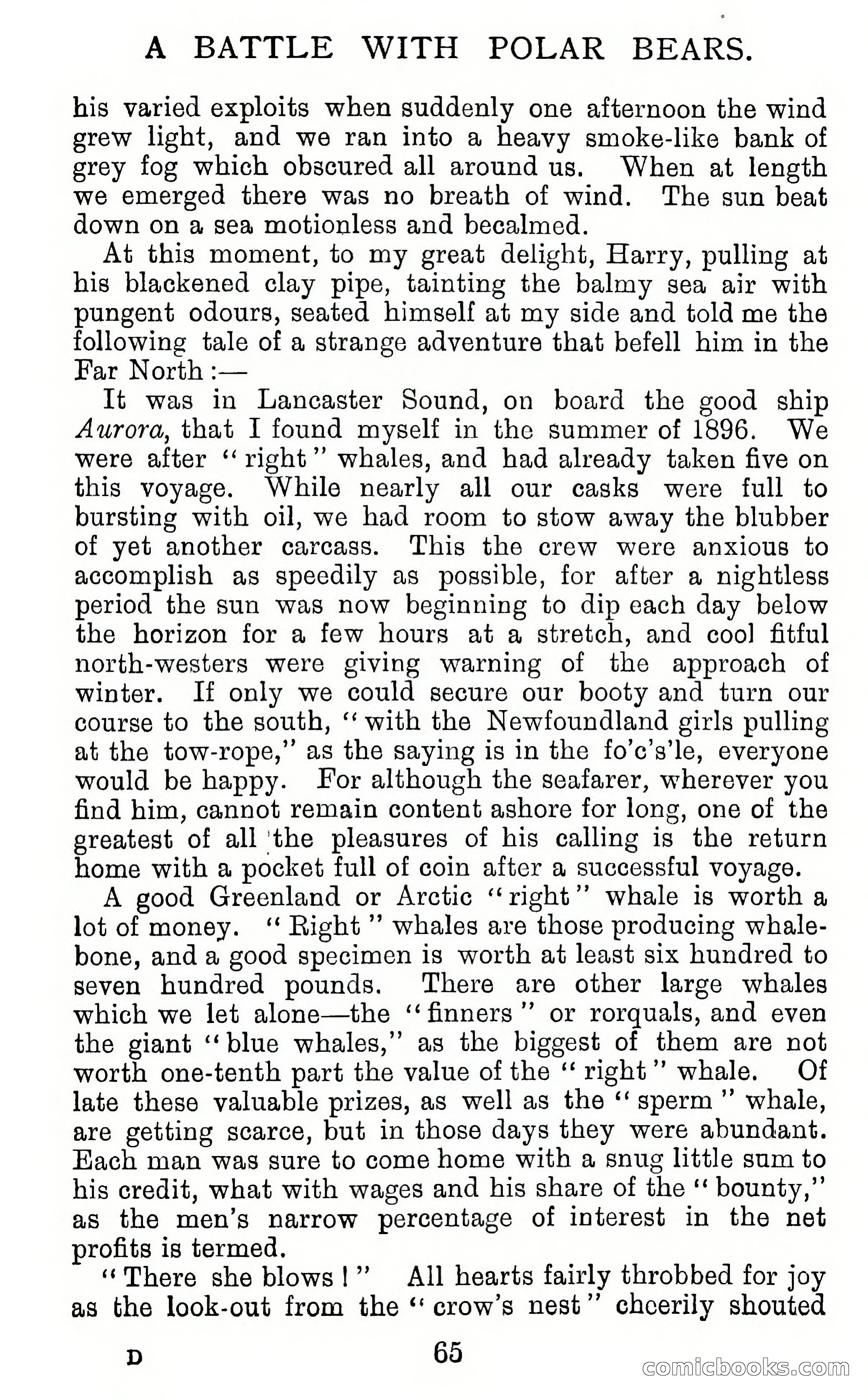Twenty-Five True Tales Of Adventure — page 81 of 202
