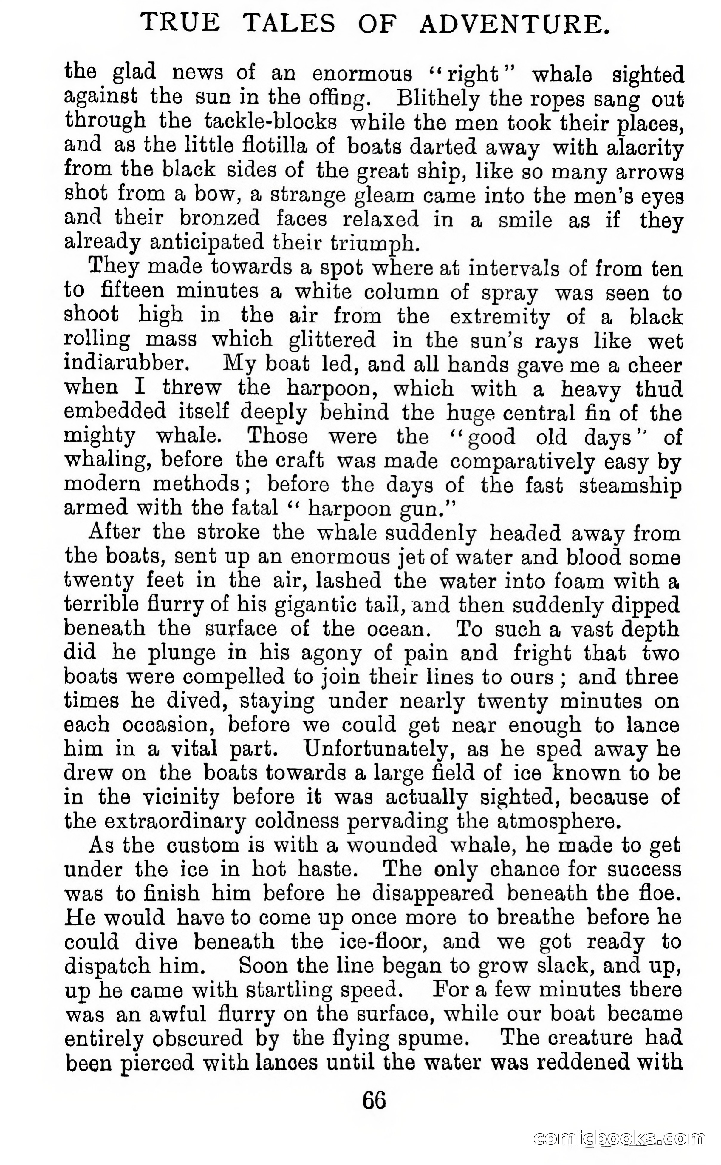 Twenty-Five True Tales Of Adventure — page 82 of 202