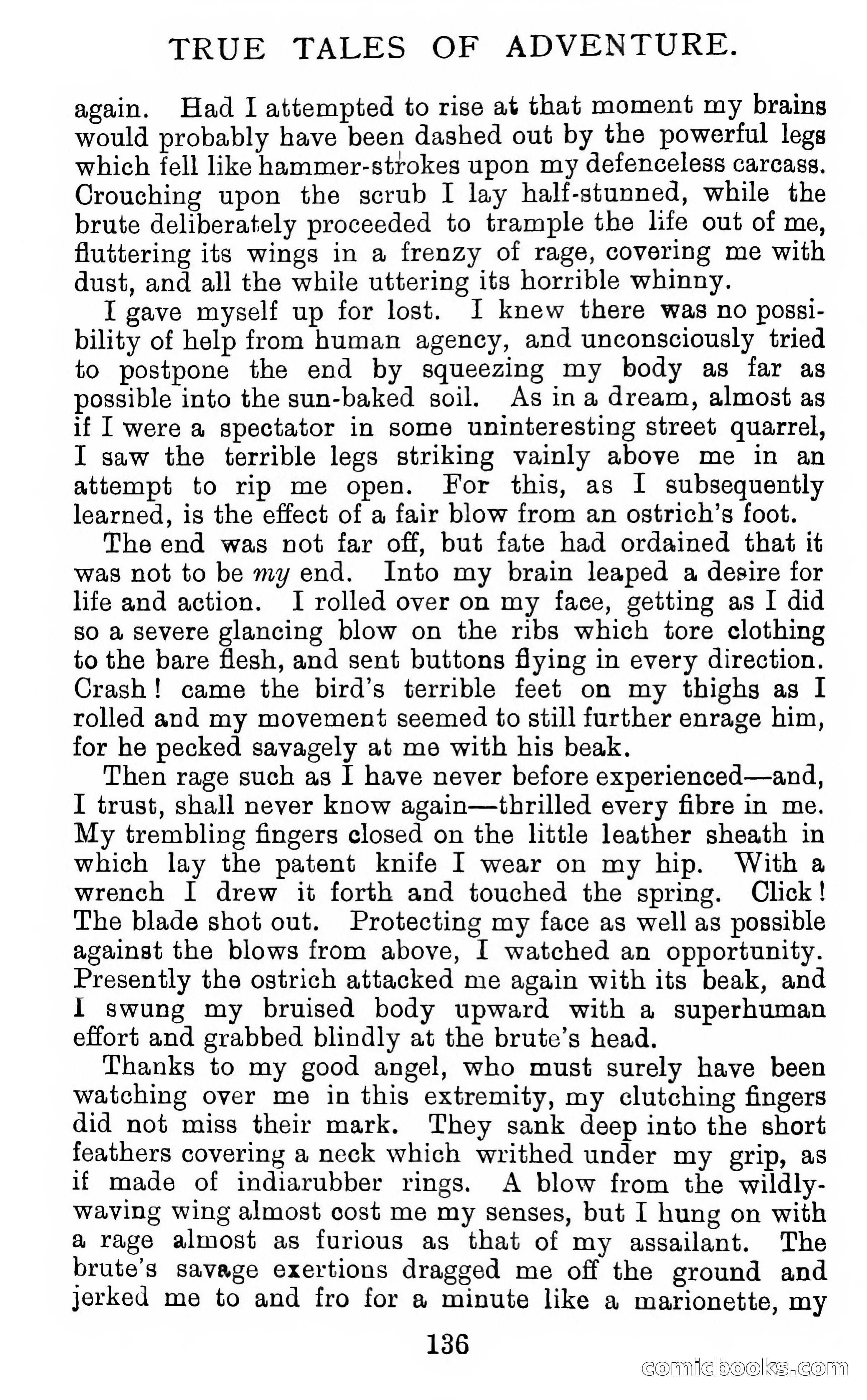 Twenty-Five True Tales Of Adventure — page 152 of 202