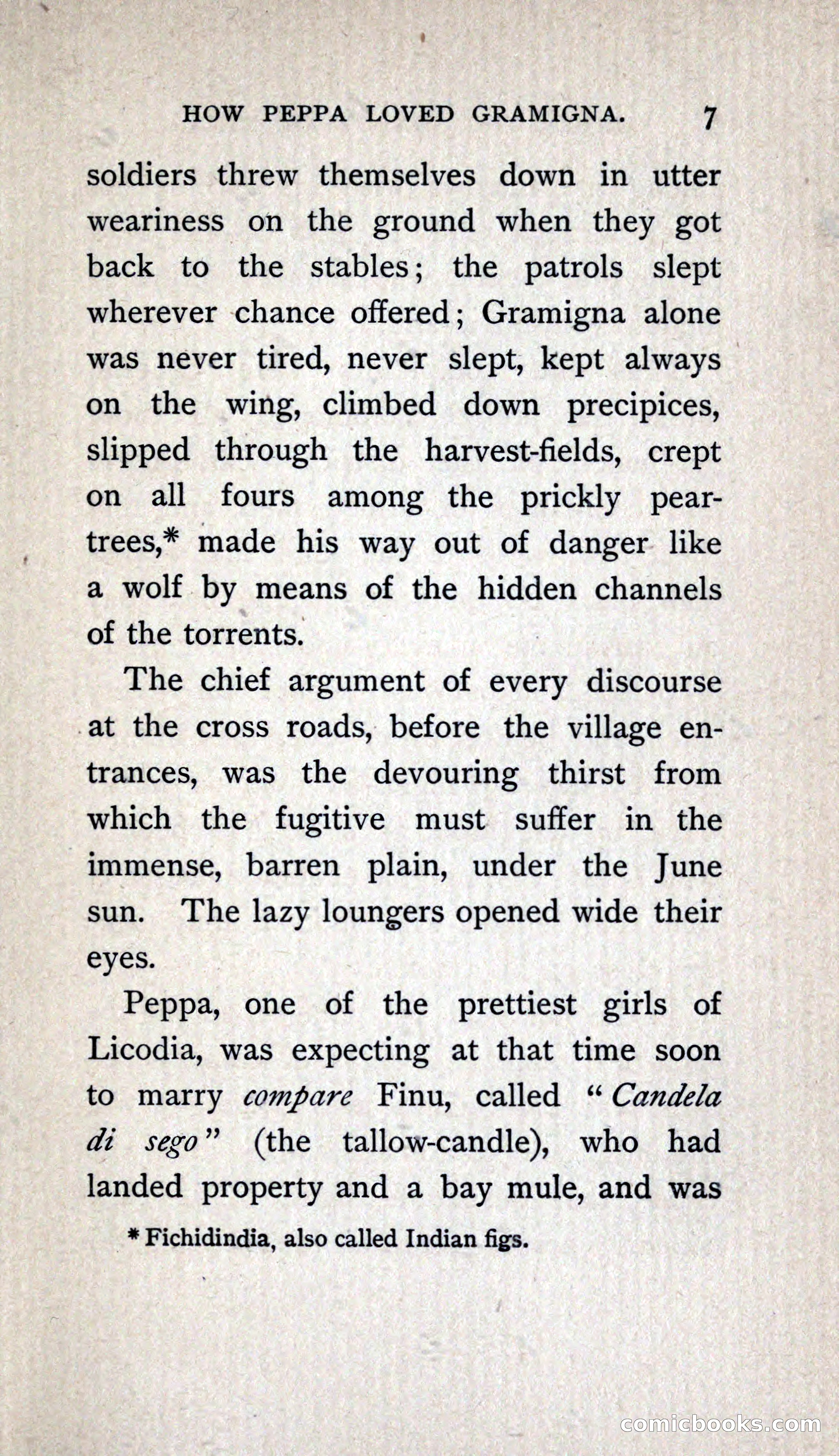 Under the Shadow of Etna: Sicilian Stories from the Italian of Giovanni Verga — page 31 of 218