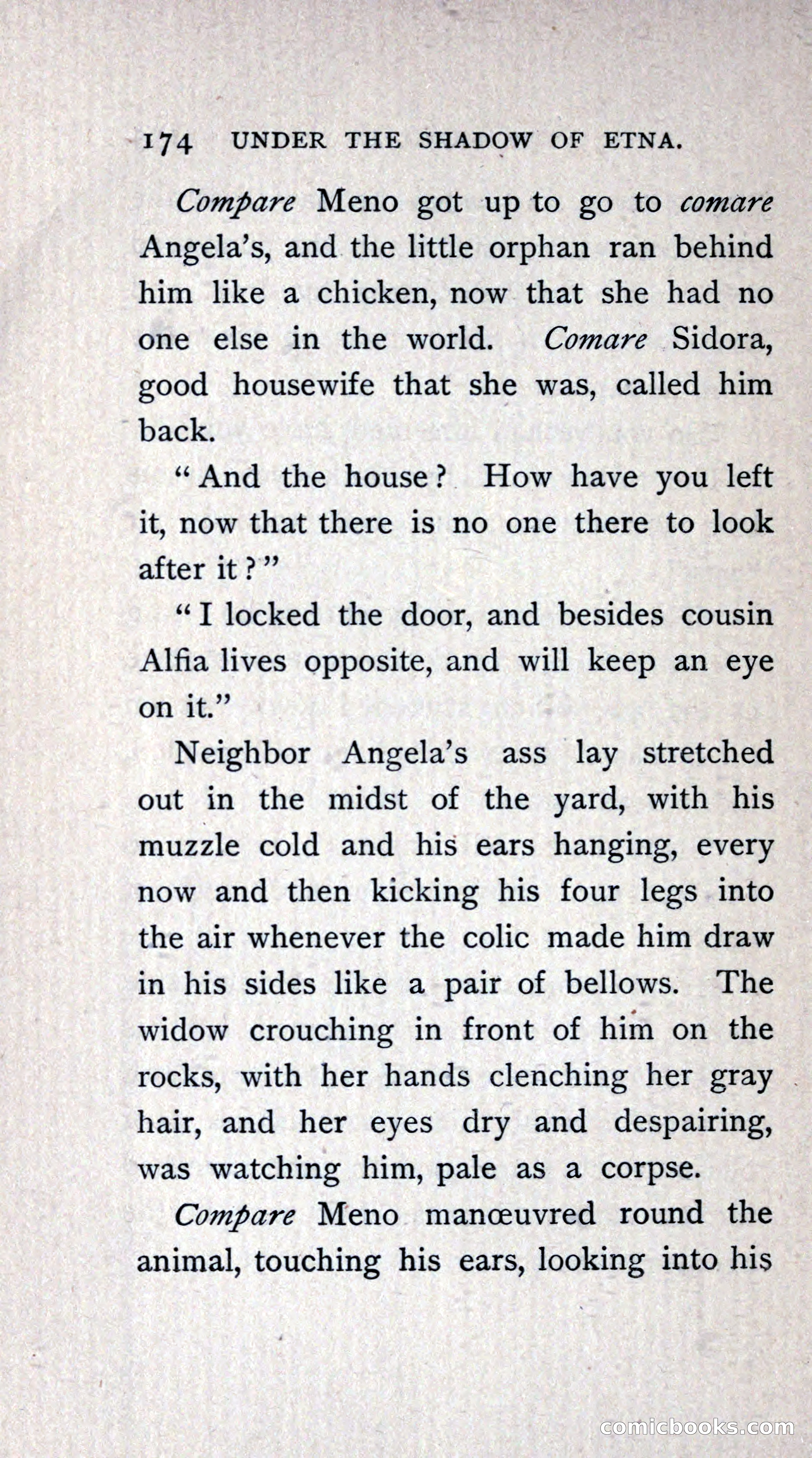 Under the Shadow of Etna: Sicilian Stories from the Italian of Giovanni Verga — page 204 of 218