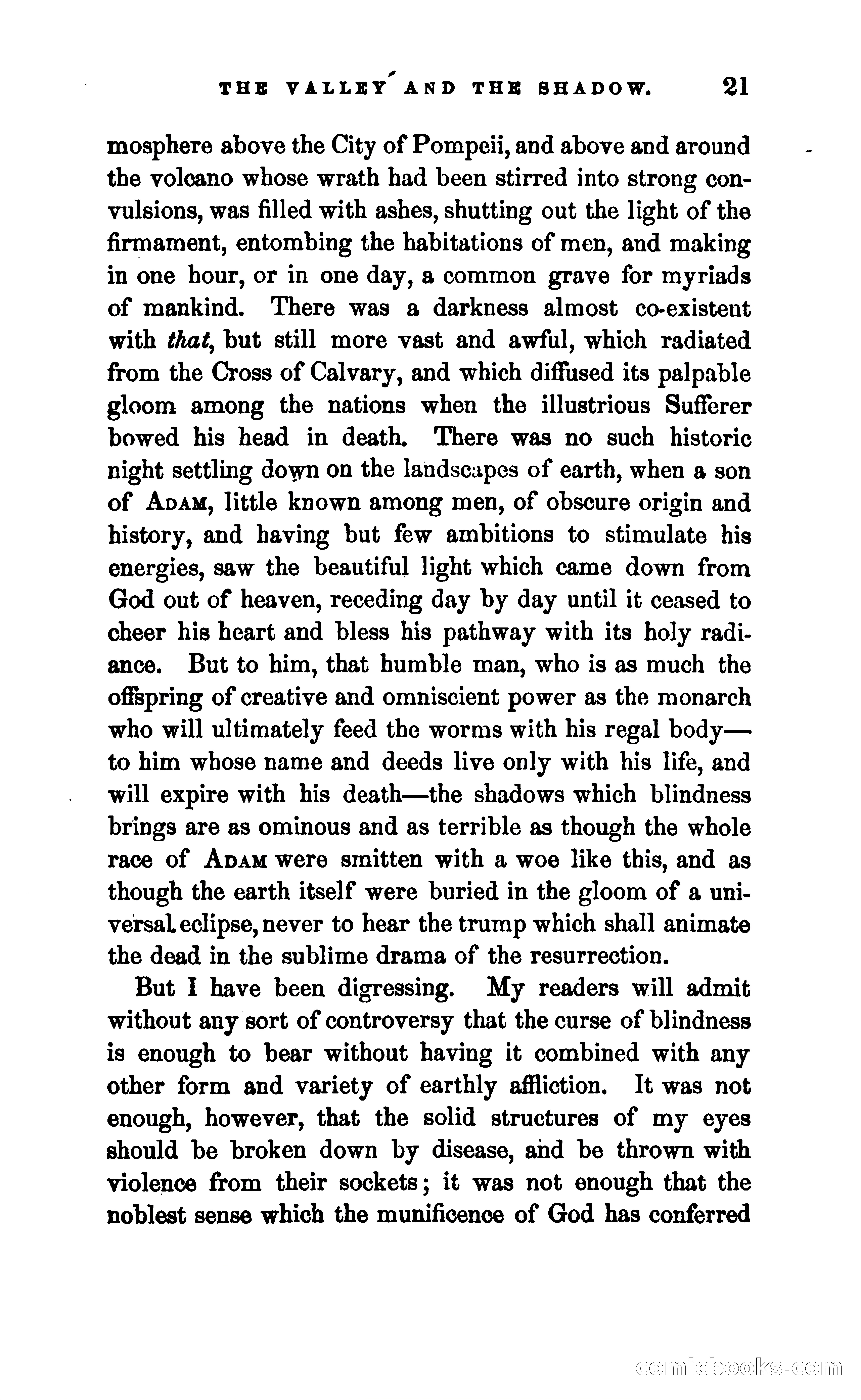 The Valley and the Shadow — page 28 of 338