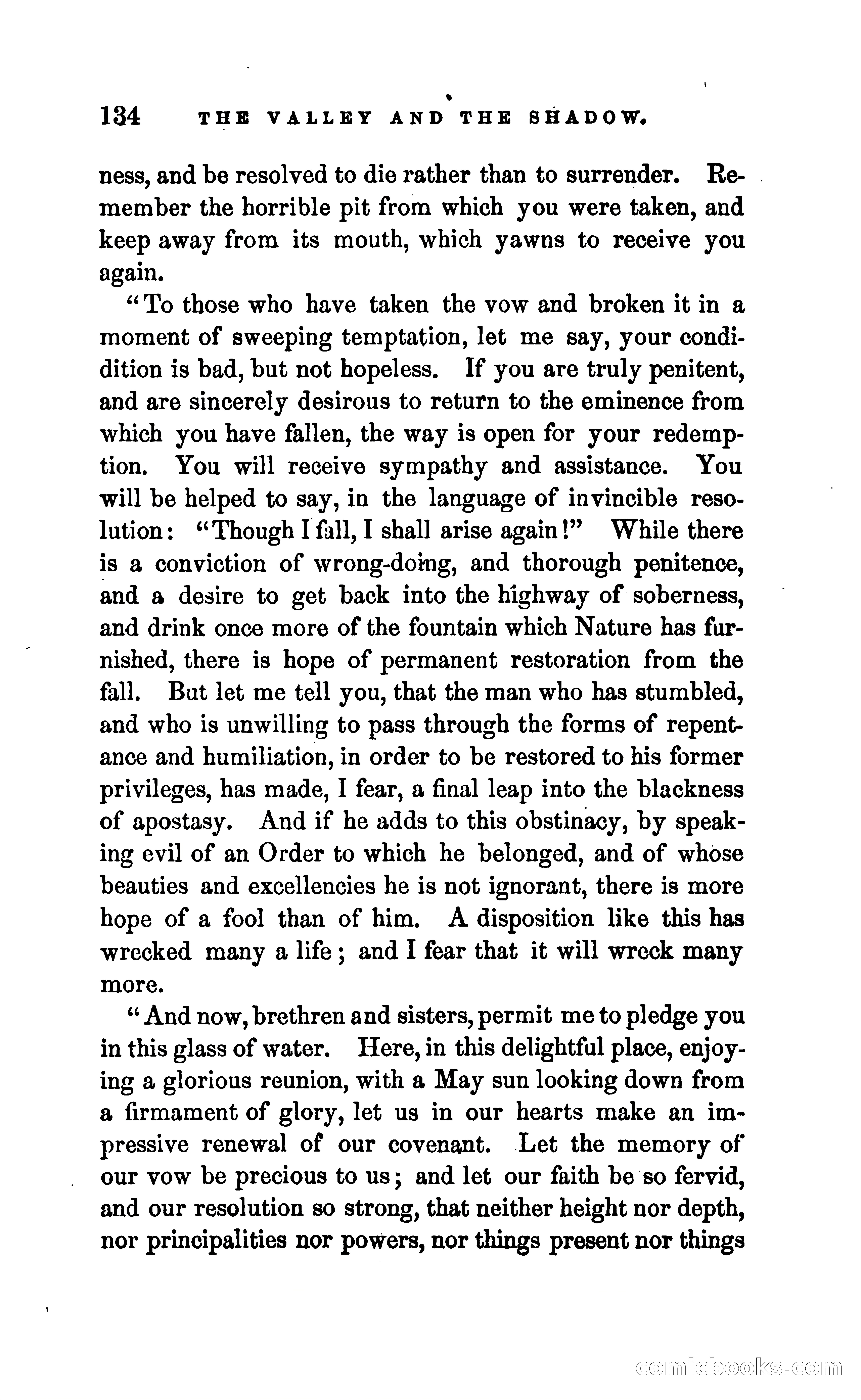 The Valley and the Shadow — page 141 of 338