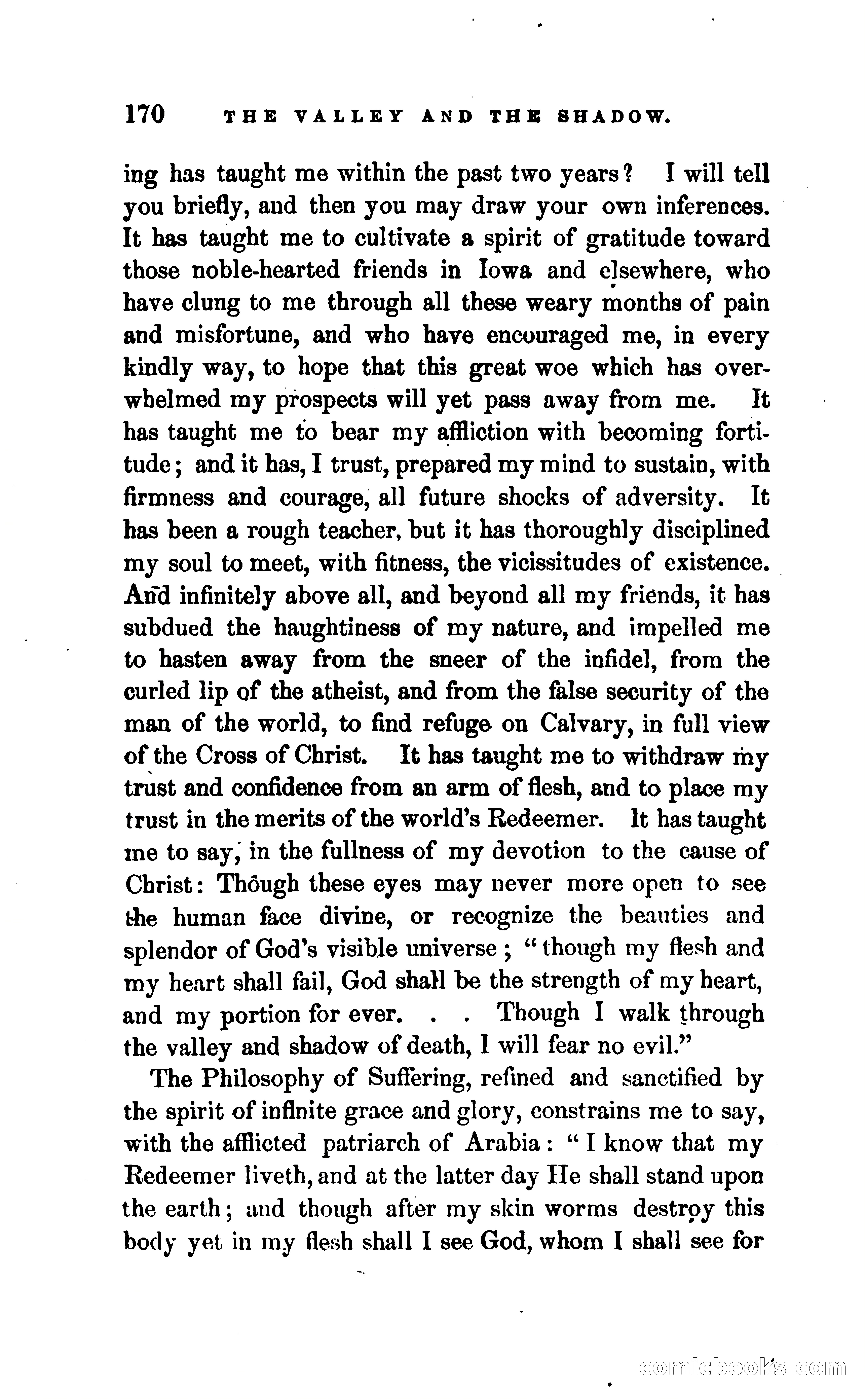 The Valley and the Shadow — page 177 of 338
