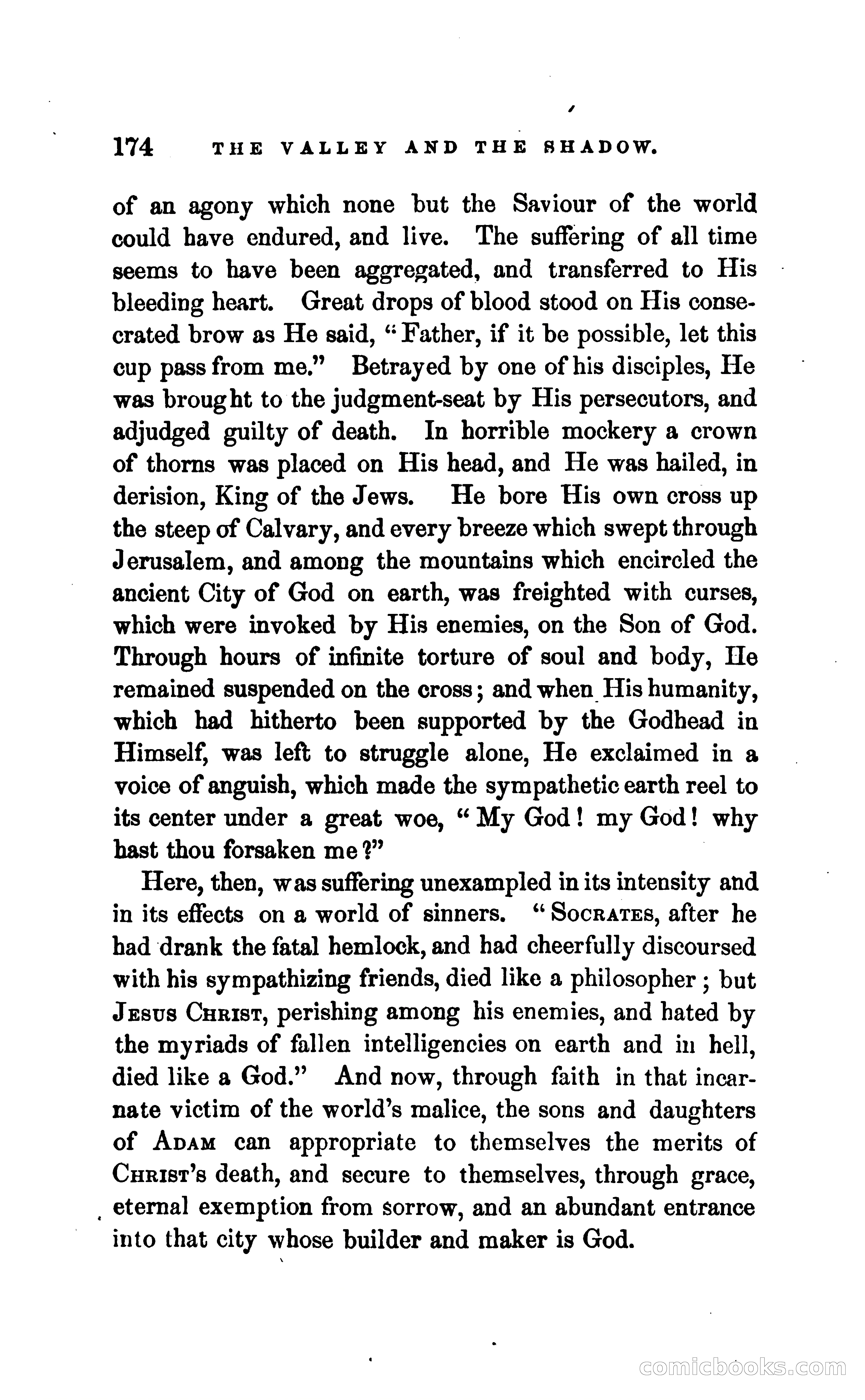 The Valley and the Shadow — page 181 of 338