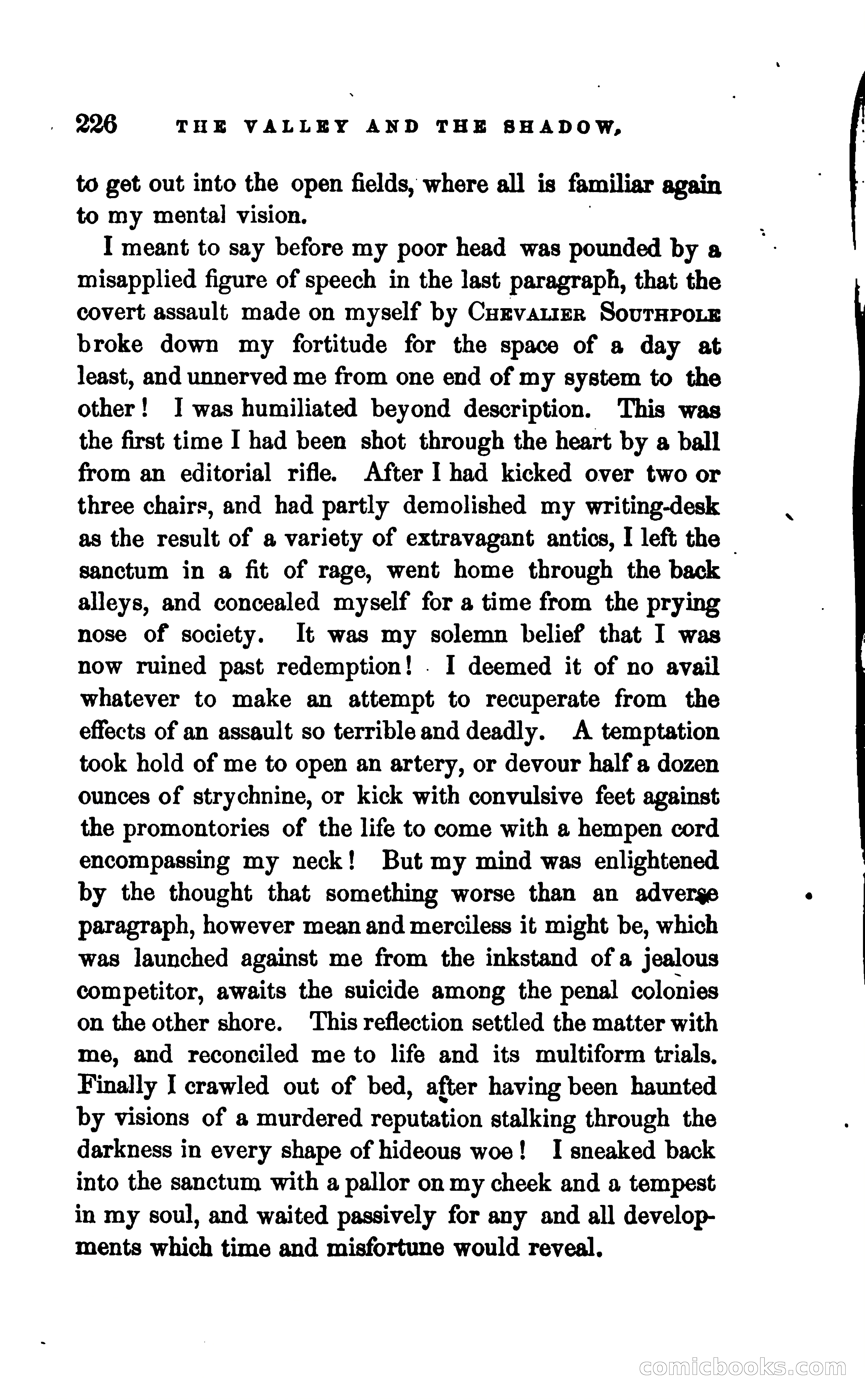 The Valley and the Shadow — page 233 of 338