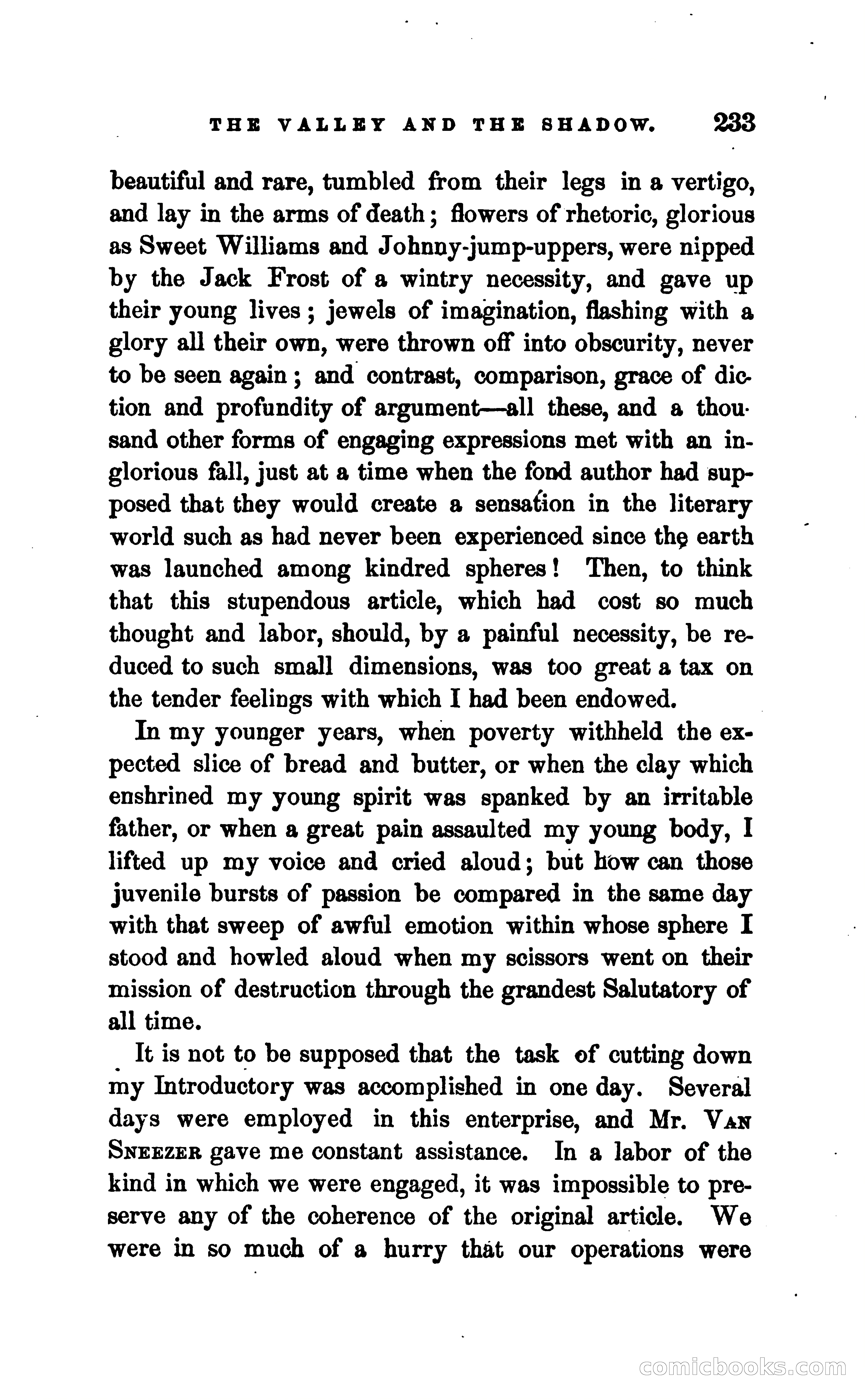 The Valley and the Shadow — page 240 of 338