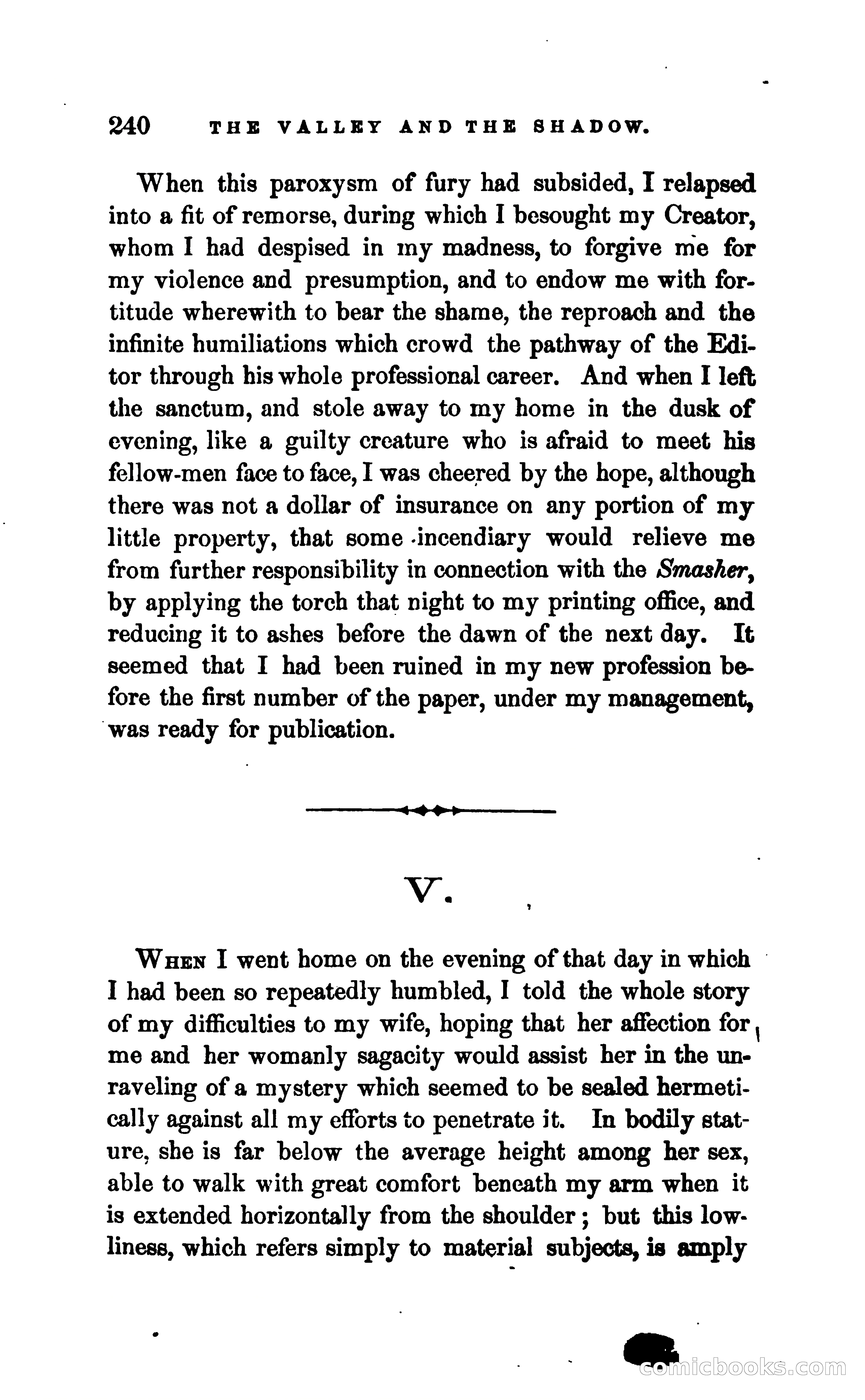 The Valley and the Shadow — page 247 of 338