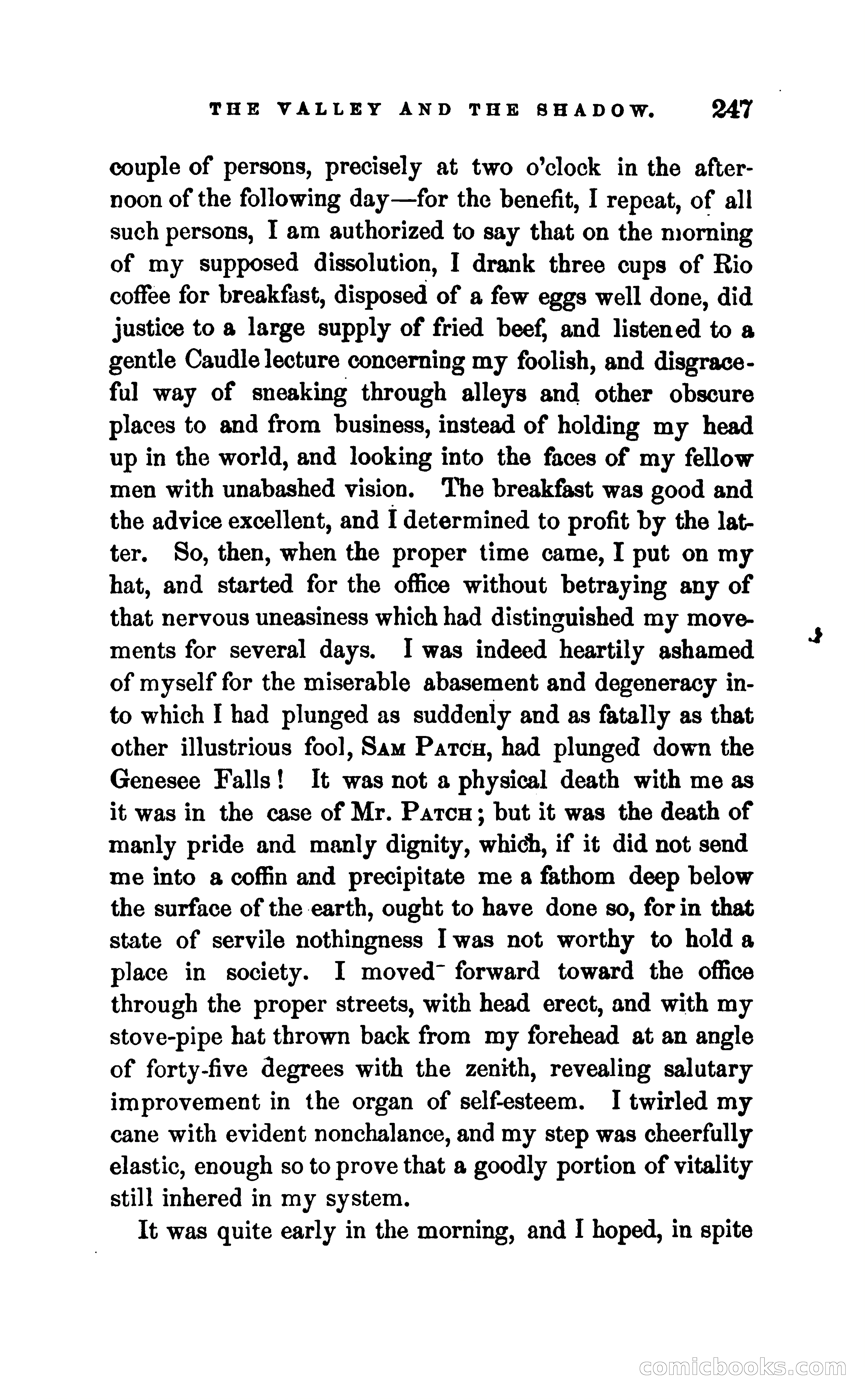 The Valley and the Shadow — page 254 of 338