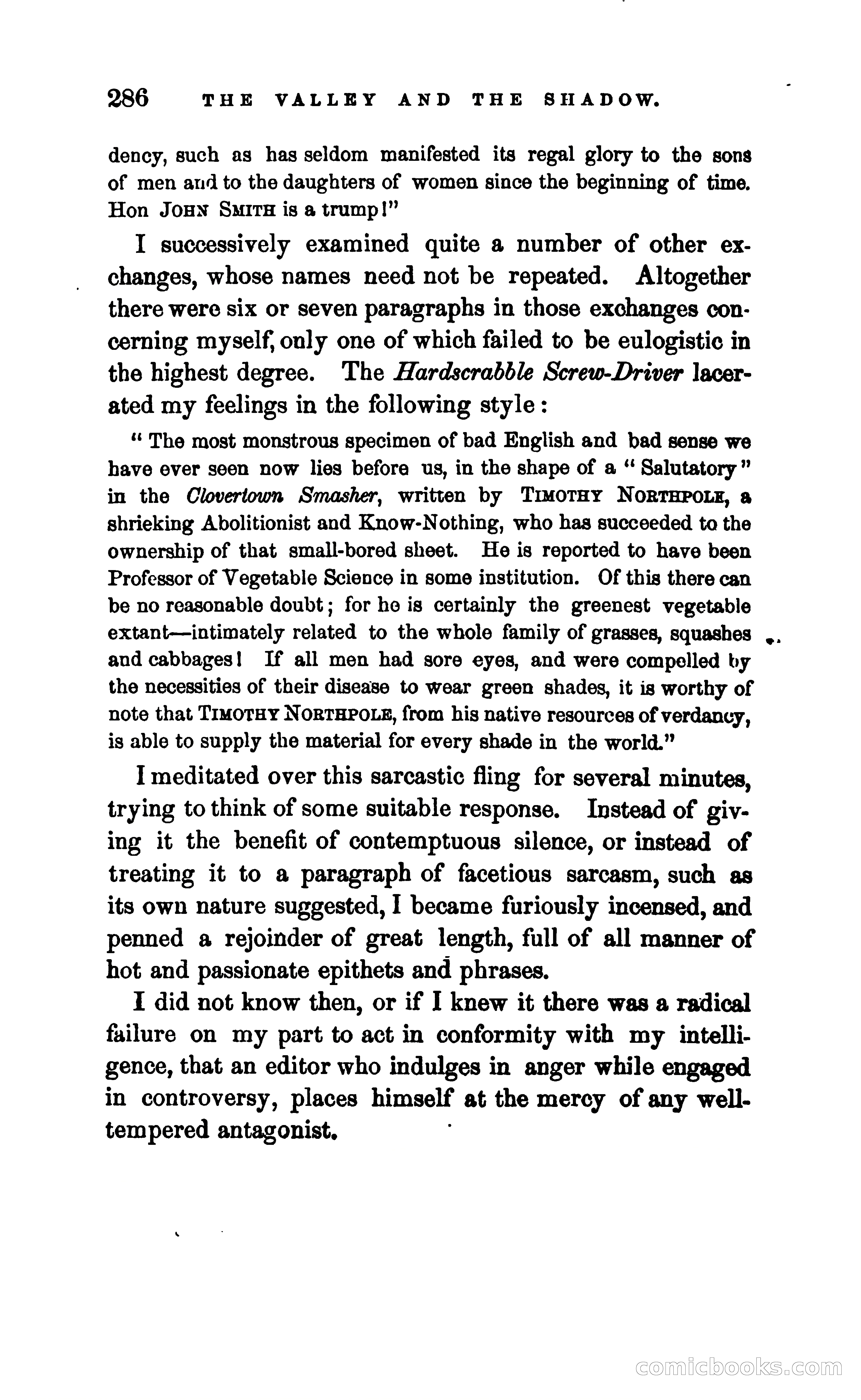 The Valley and the Shadow — page 293 of 338