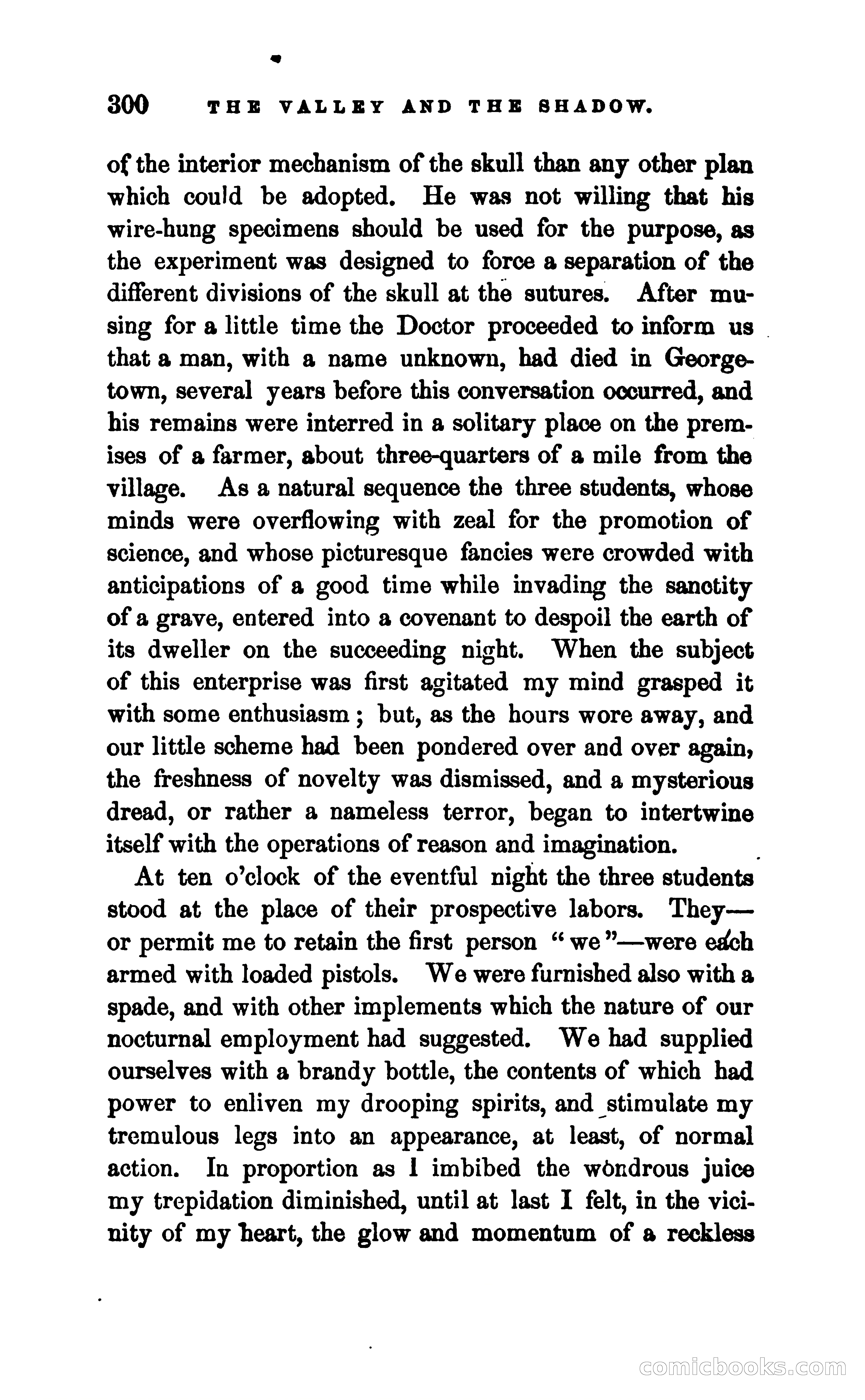 The Valley and the Shadow — page 307 of 338
