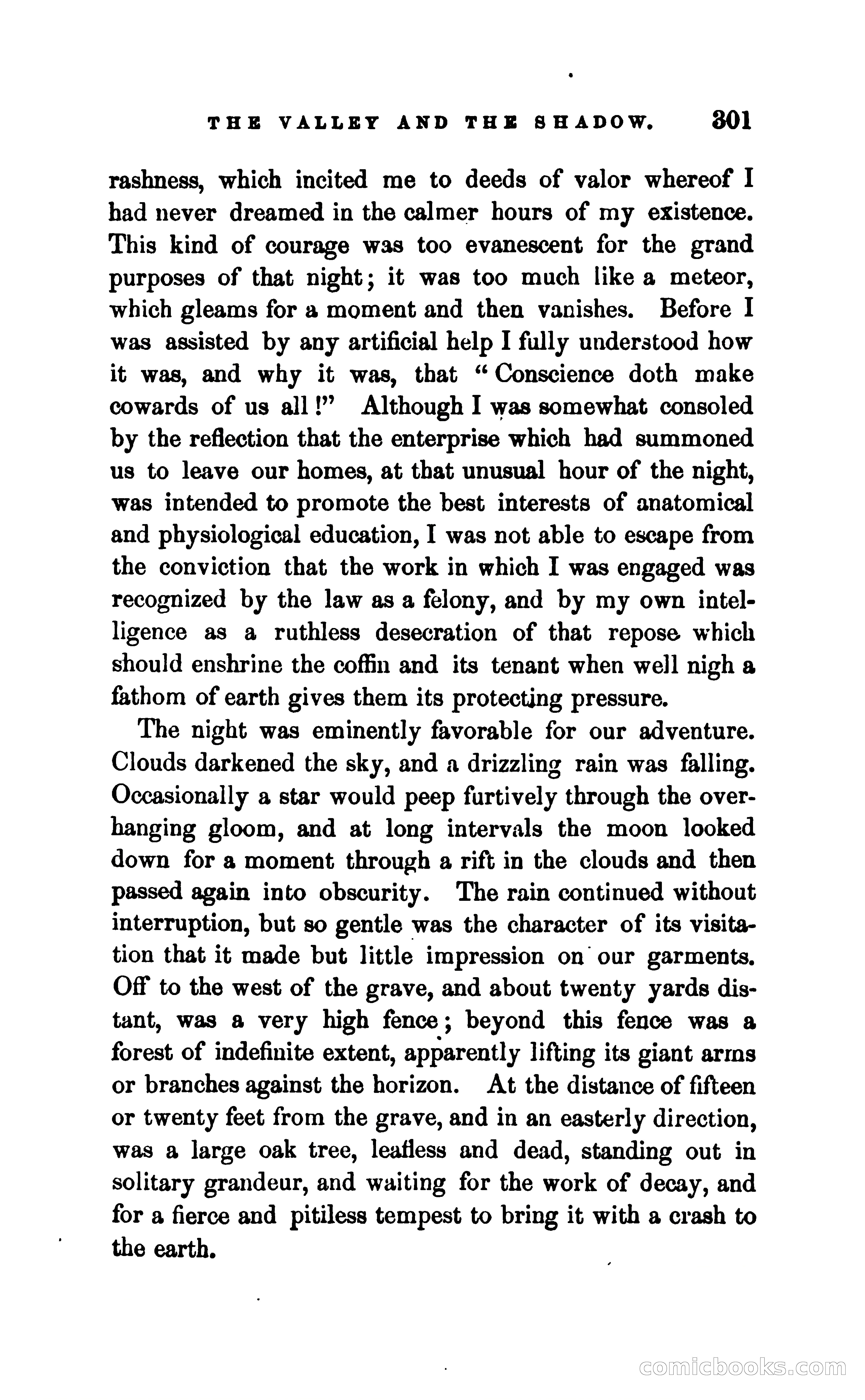 The Valley and the Shadow — page 308 of 338