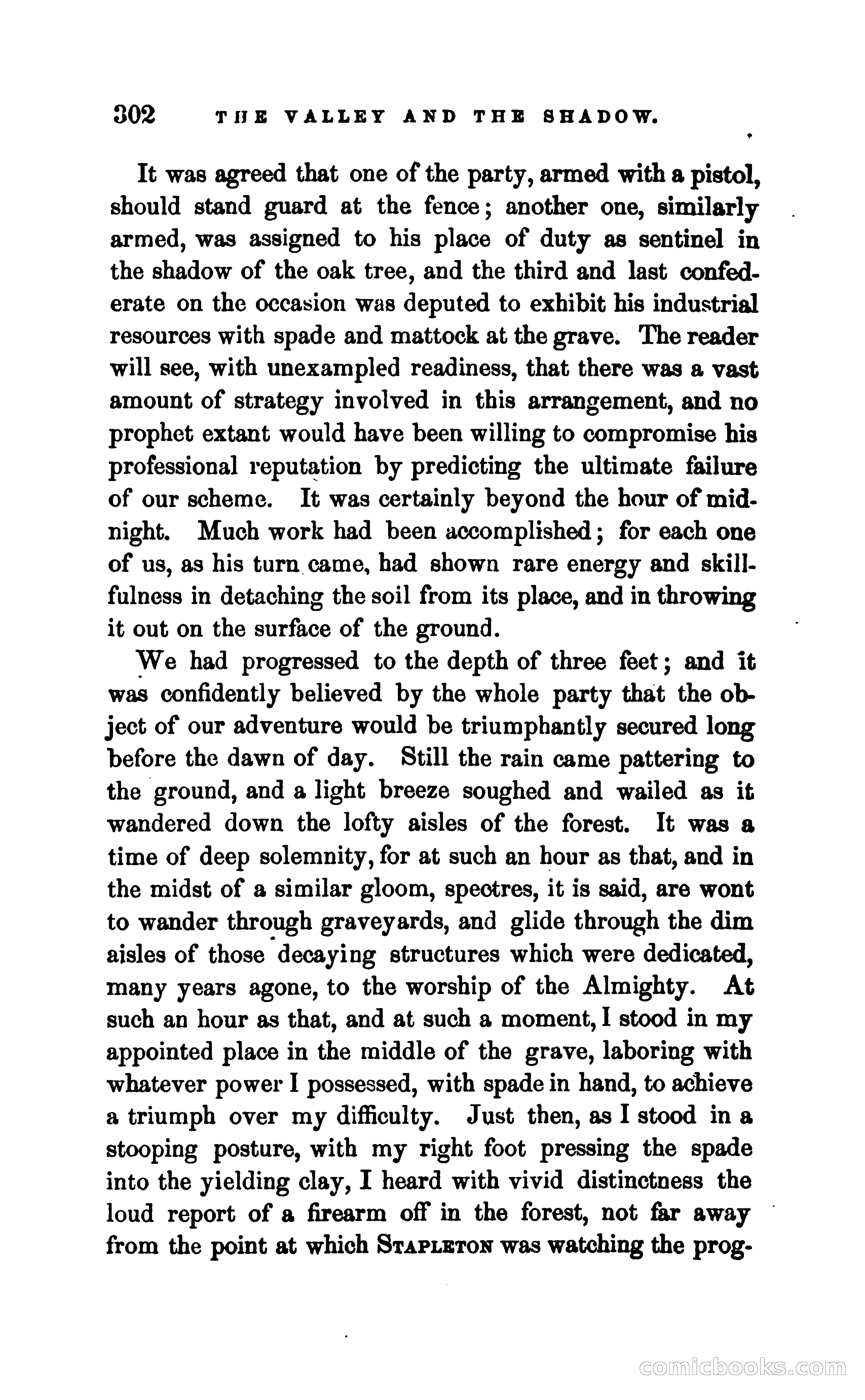 The Valley and the Shadow — page 309 of 338