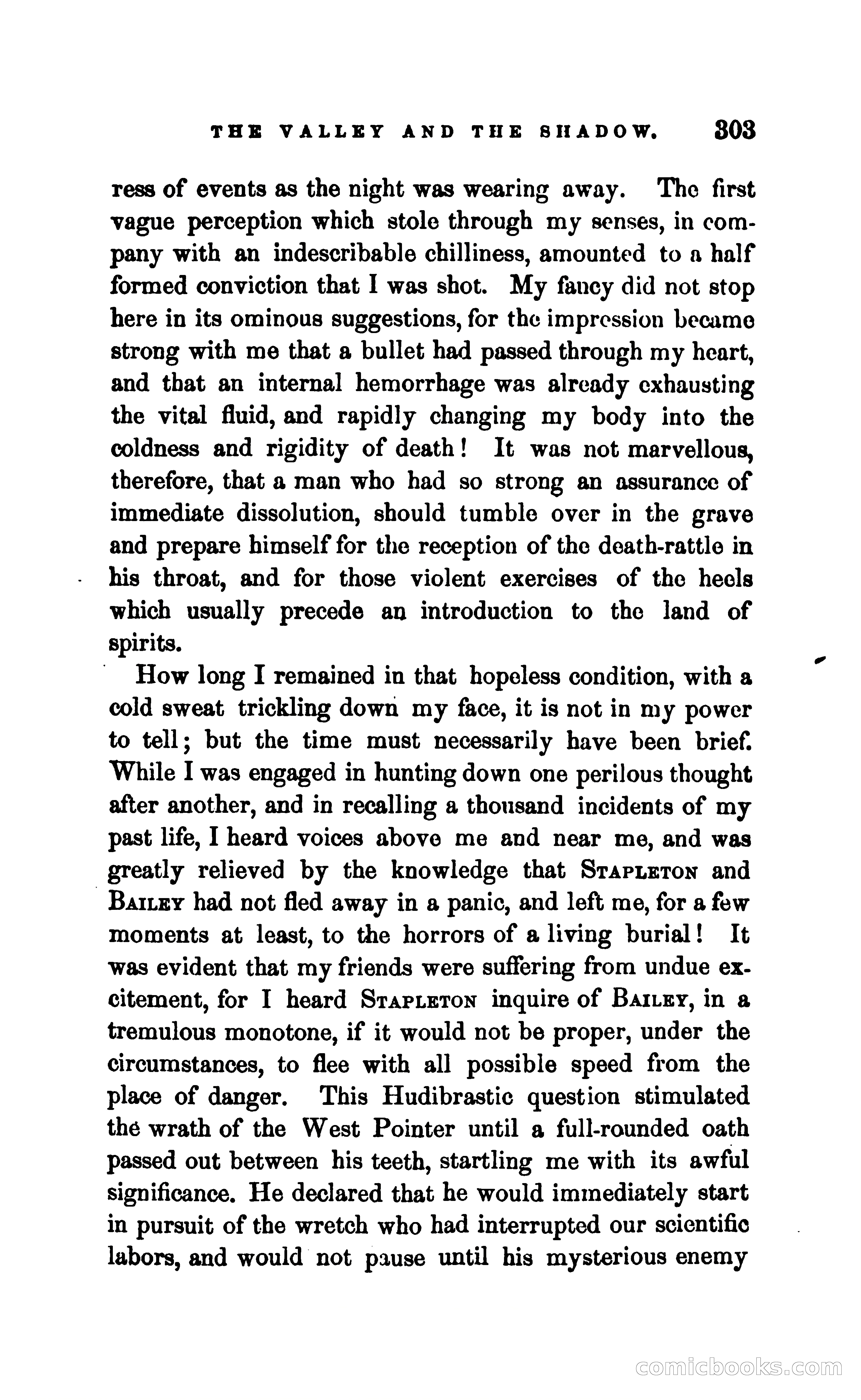 The Valley and the Shadow — page 310 of 338