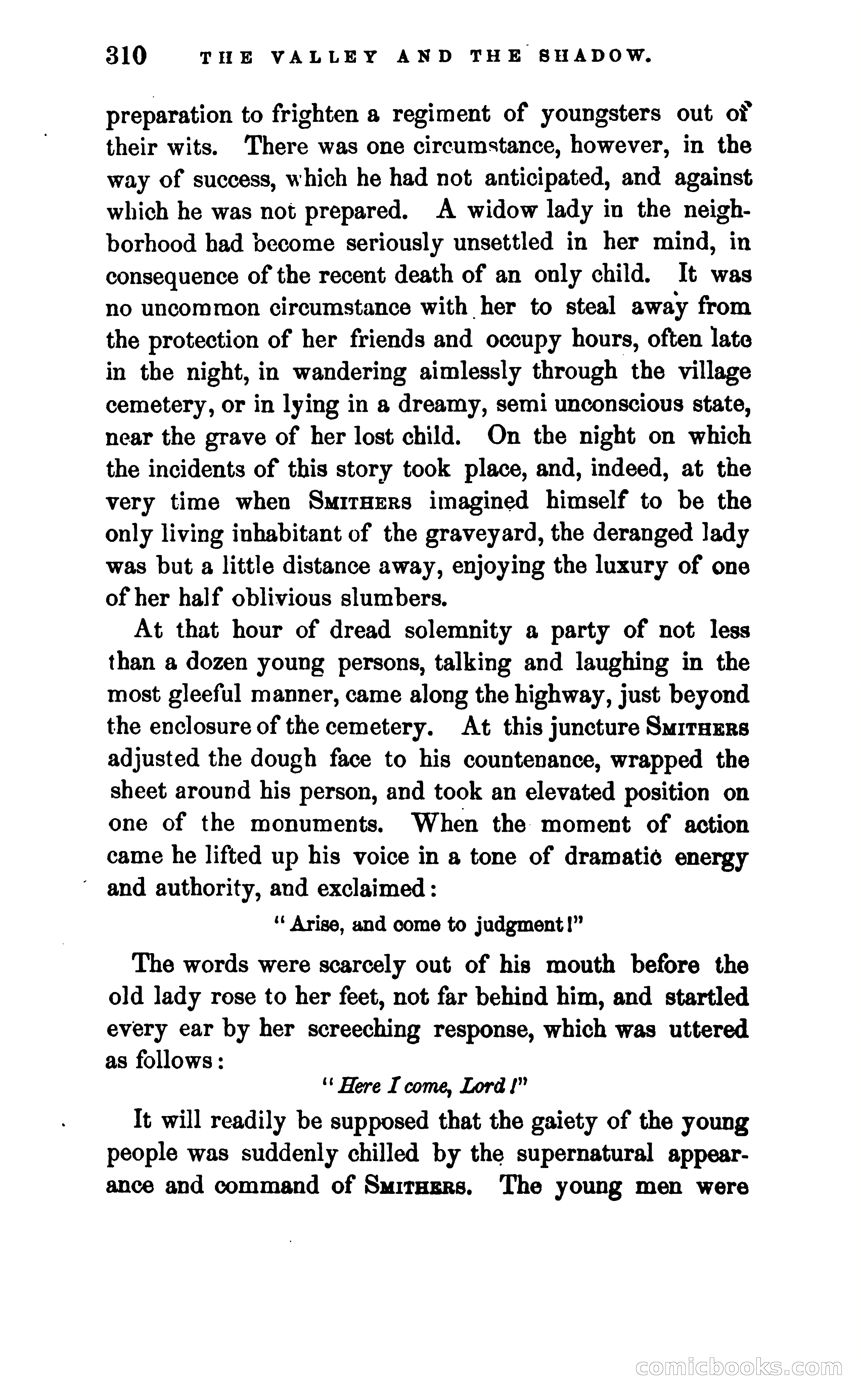 The Valley and the Shadow — page 317 of 338