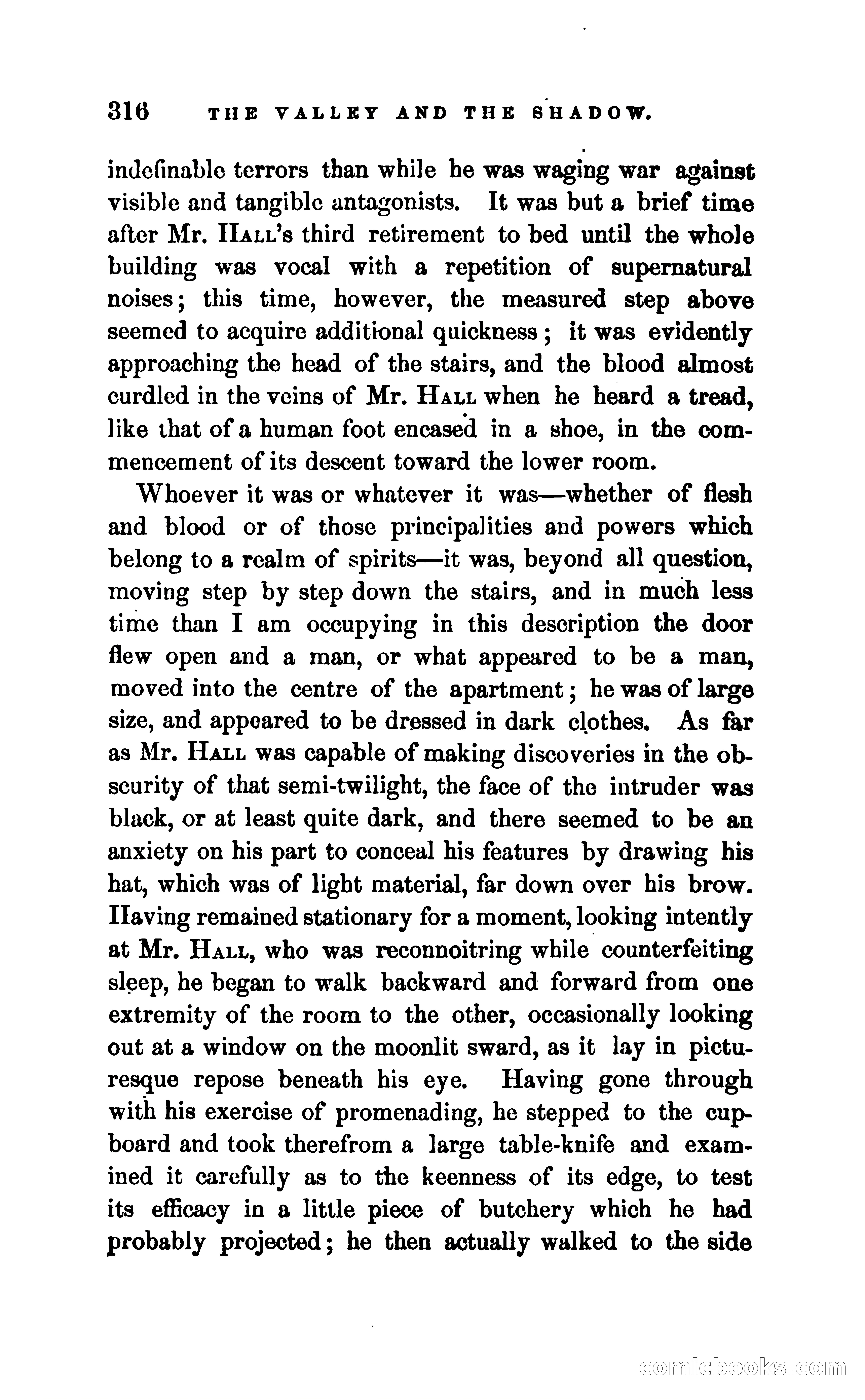 The Valley and the Shadow — page 323 of 338
