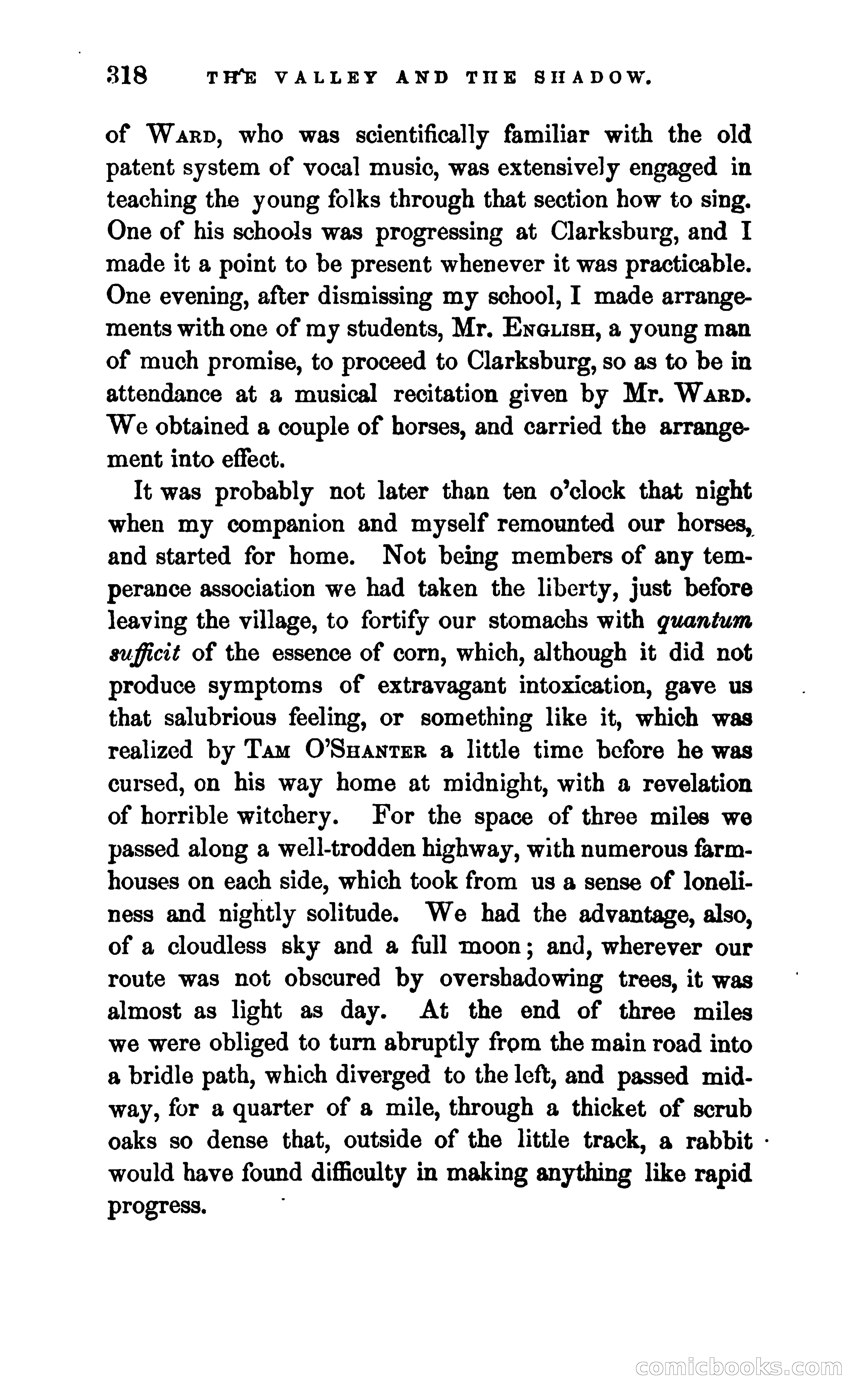 The Valley and the Shadow — page 325 of 338
