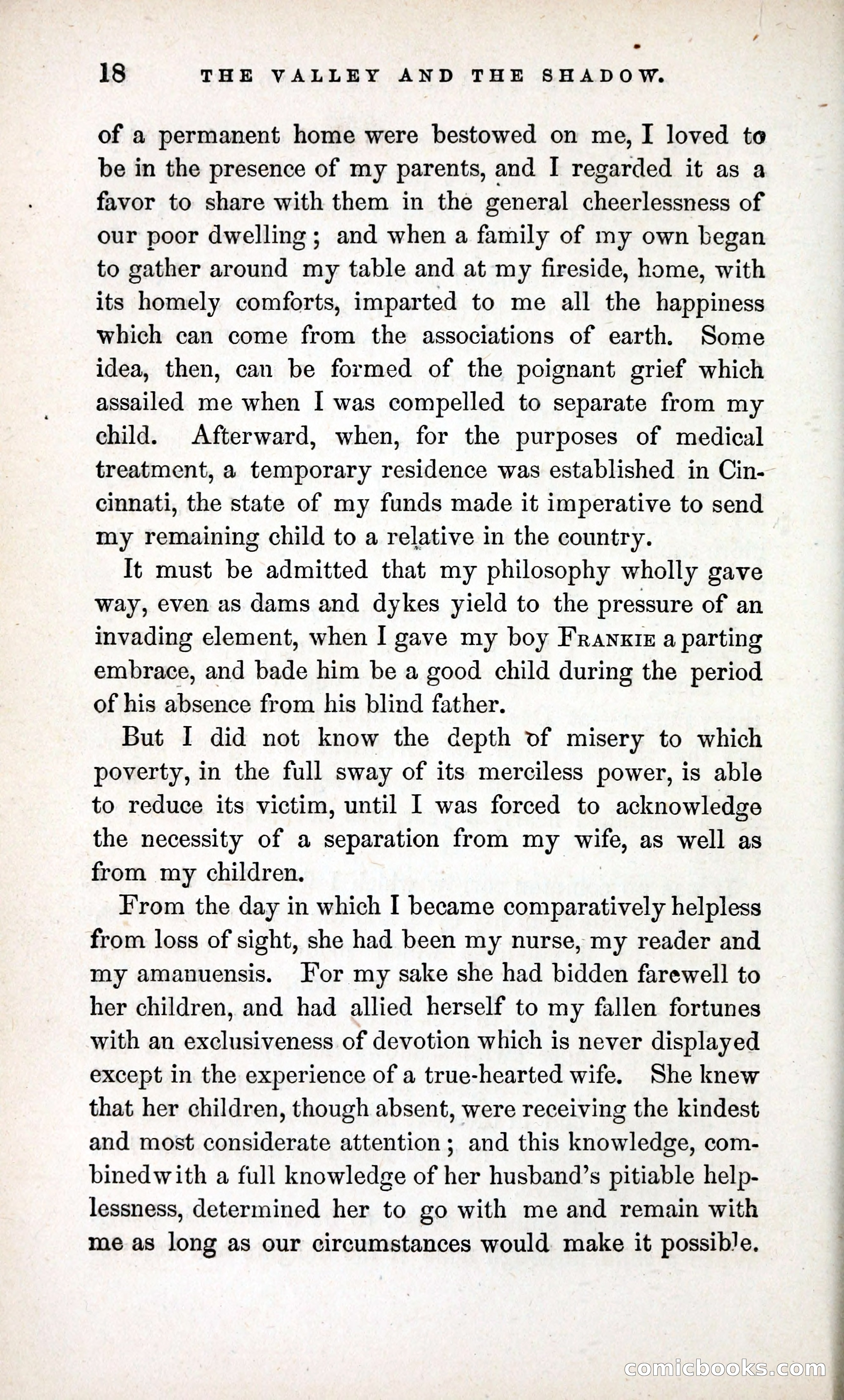 The Valley and the Shadow (1868) — page 27 of 349