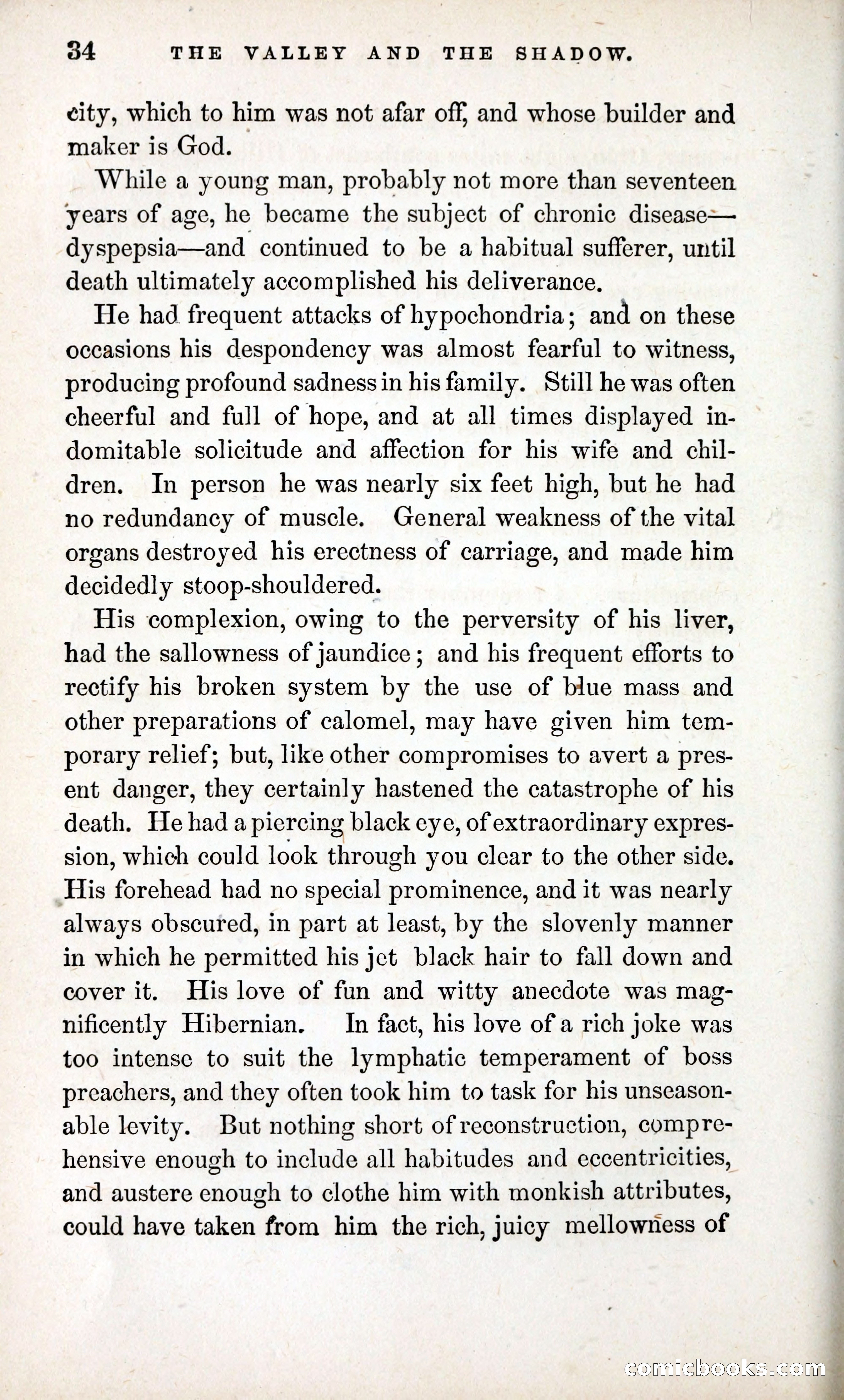 The Valley and the Shadow (1868) — page 43 of 349
